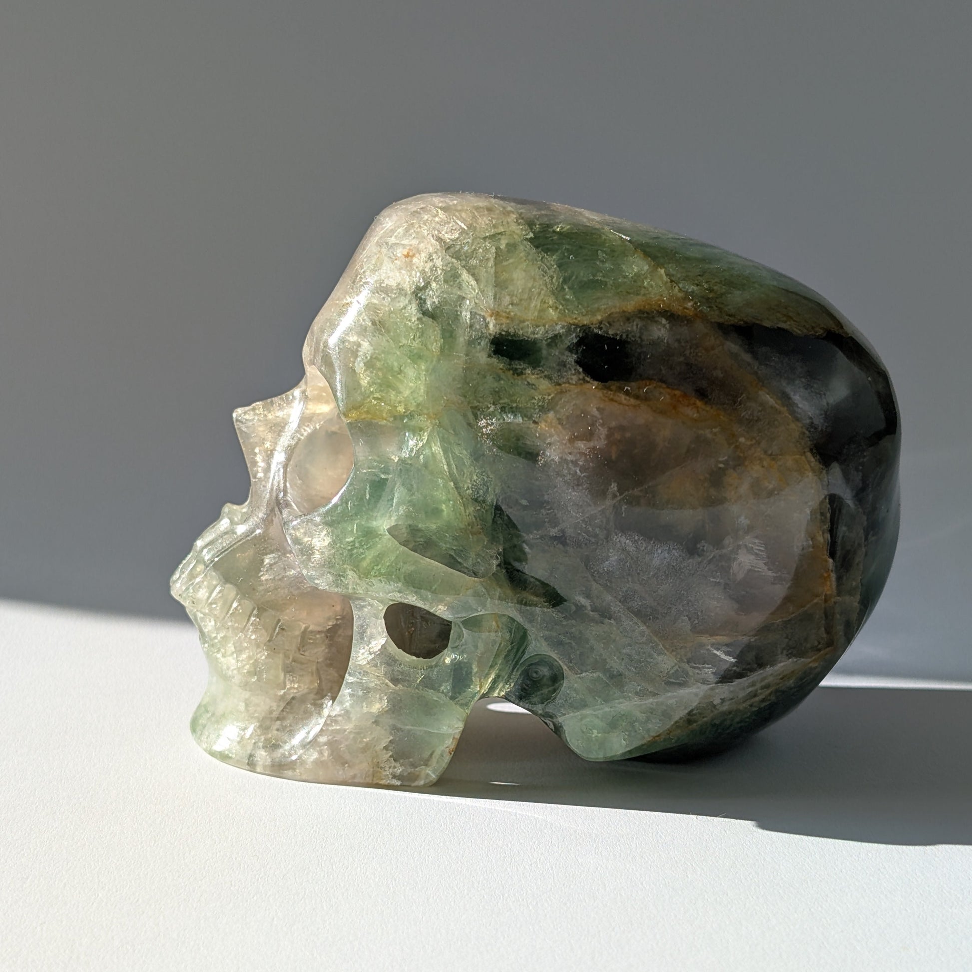Großer Kristallschädel "Munari" (1.57kg) aus grün-gelb gebändertem Fluorit (Flachkopf-Stil)