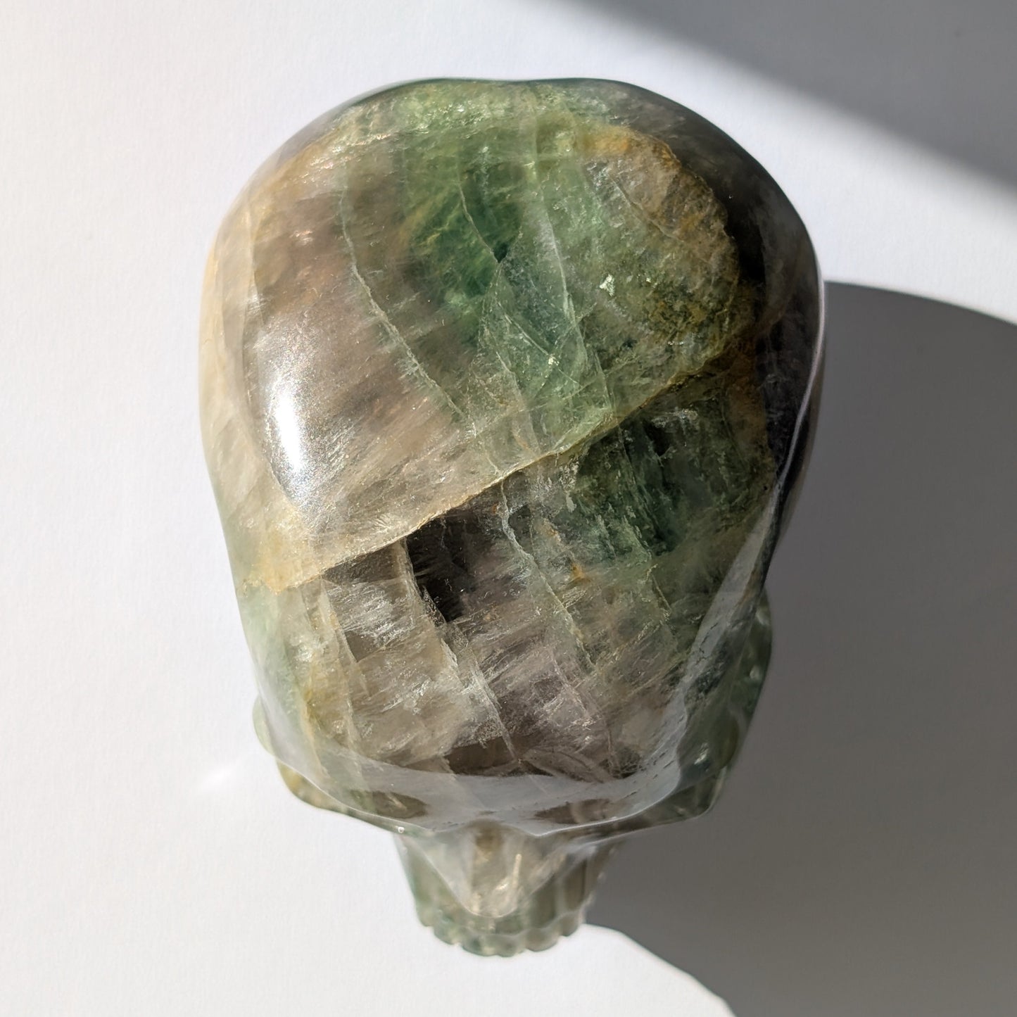 Großer Kristallschädel "Munari" (1.57kg) aus grün-gelb gebändertem Fluorit (Flachkopf-Stil)