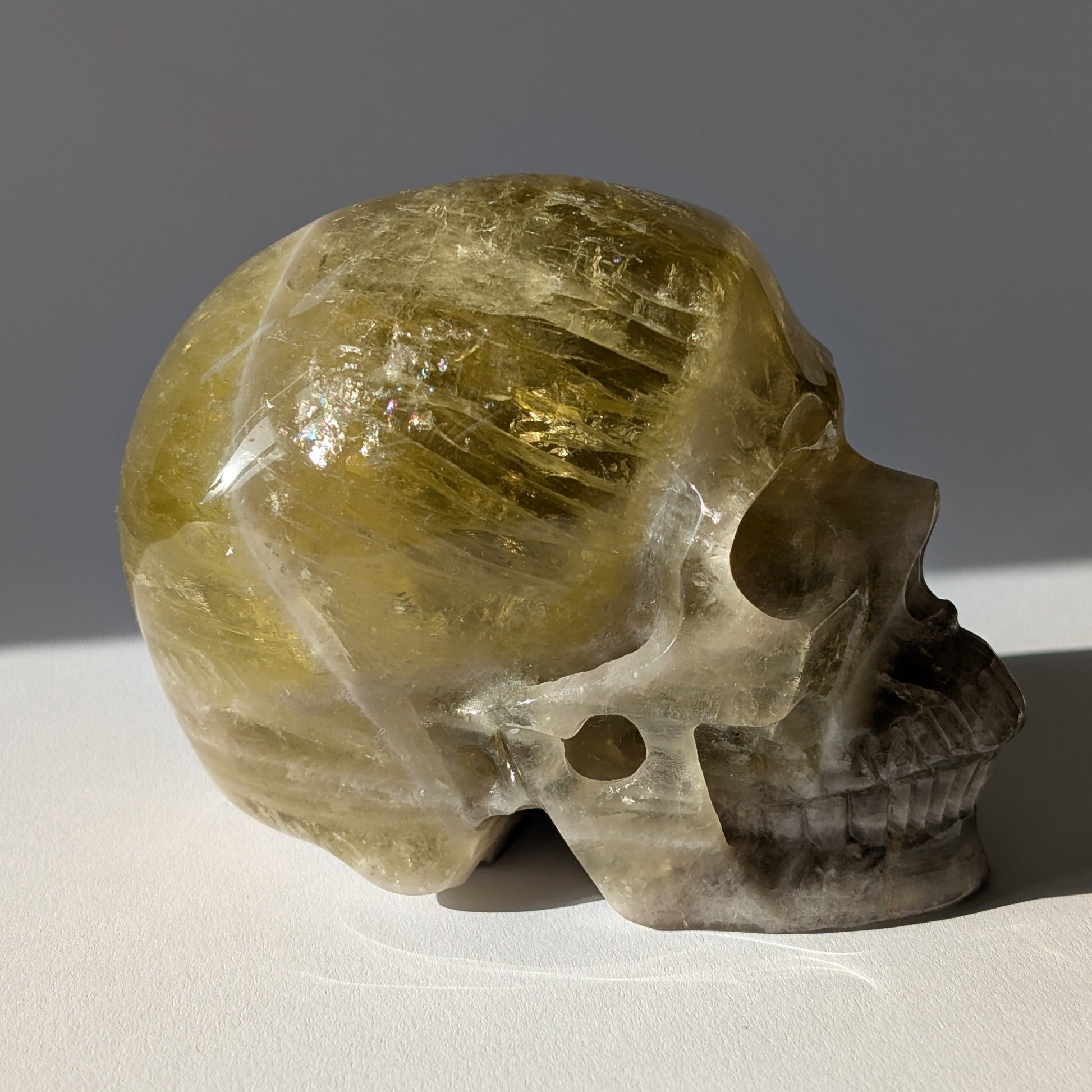 Großer Kristallschädel "Talia" (1.24kg) aus leuchtend goldgelbem Honigcalcit.