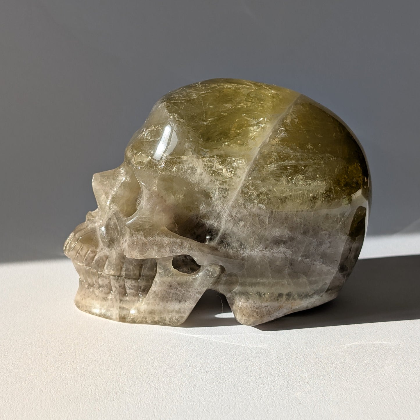 Großer Kristallschädel "Talia" (1.24kg) aus leuchtend goldgelbem Honigcalcit.