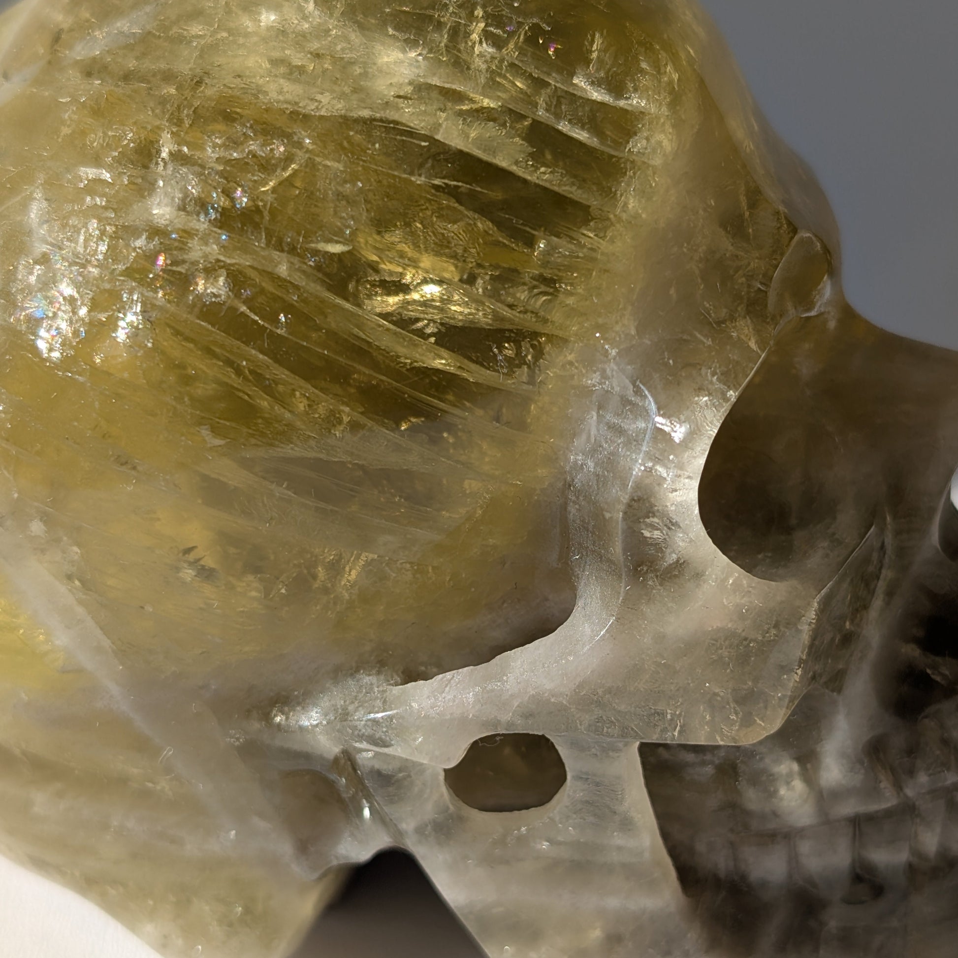 Großer Kristallschädel "Talia" (1.24kg) aus leuchtend goldgelbem Honigcalcit.