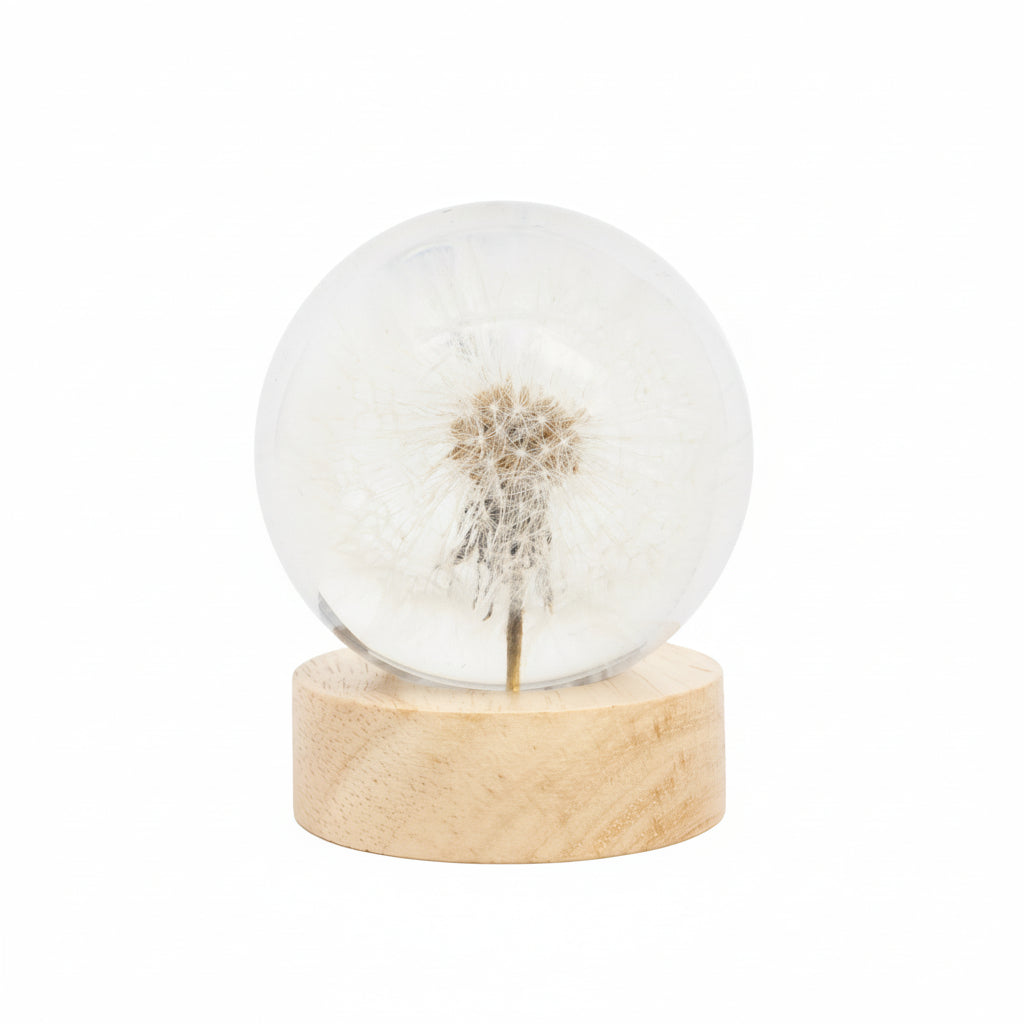 Pusteblumen-Lampe mit echter Pusteblume in Harzkugel auf LED-Sockel aus Buchenholz
