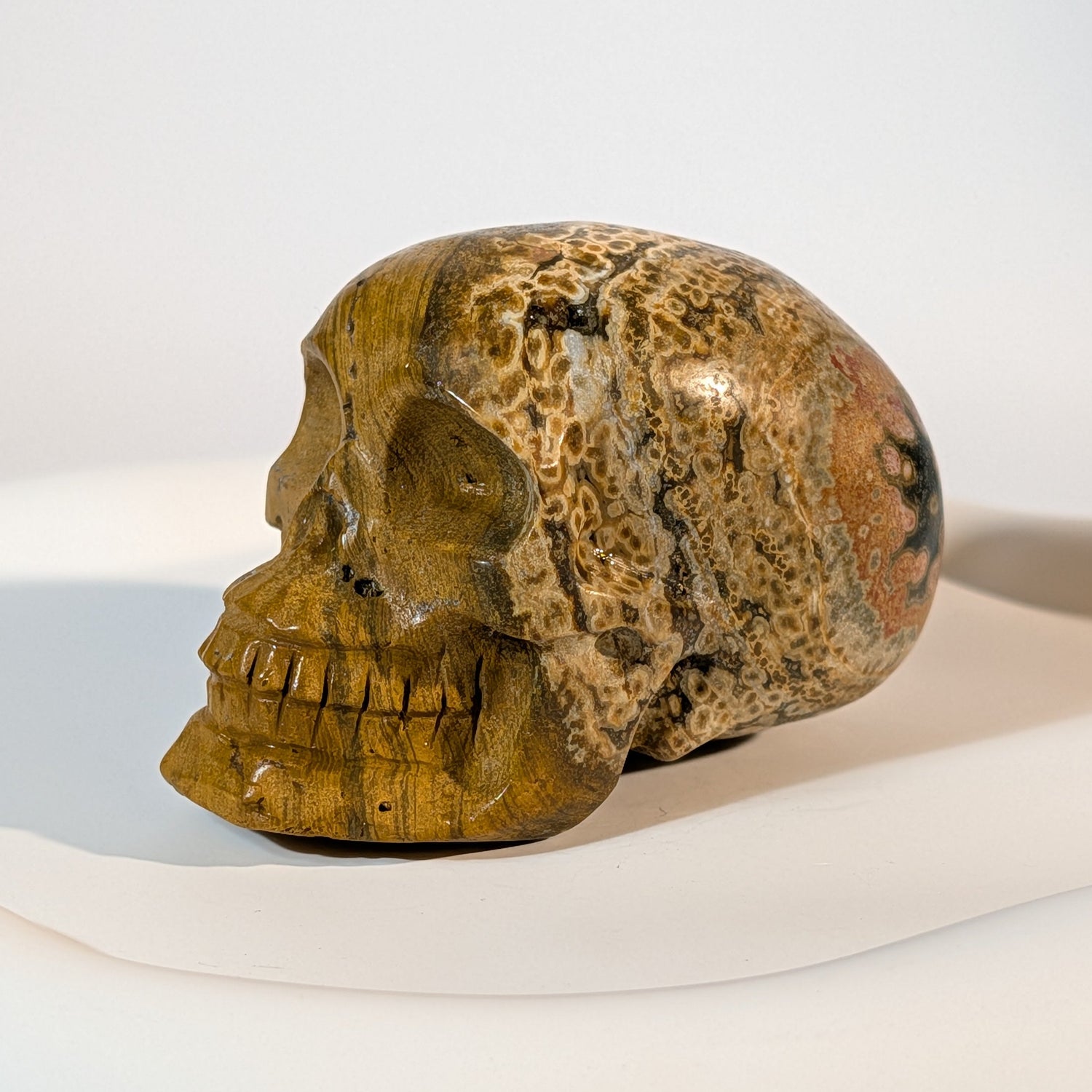 Handgeschnitzter Kristallschädel Shirkar aus seltenem Ozeanjaspis, 249 Gramm schwer, in goldgelben Erdtönen mit typischen kreisförmigen Augen-Mustern.
