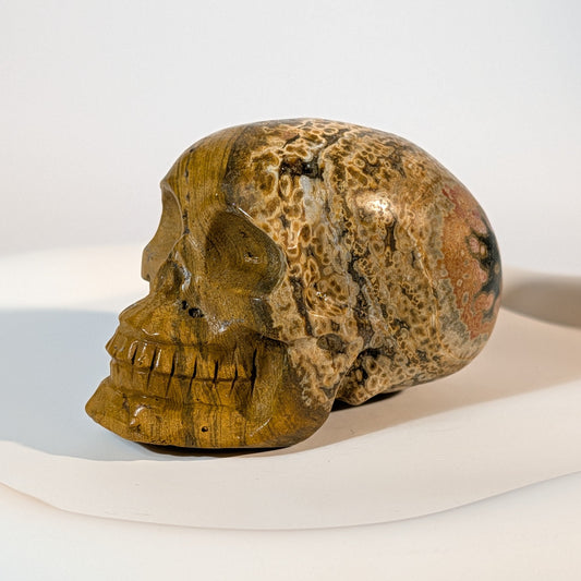 Handgeschnitzter Kristallschädel Shirkar aus seltenem Ozeanjaspis, 249 Gramm schwer, in goldgelben Erdtönen mit typischen kreisförmigen Augen-Mustern.