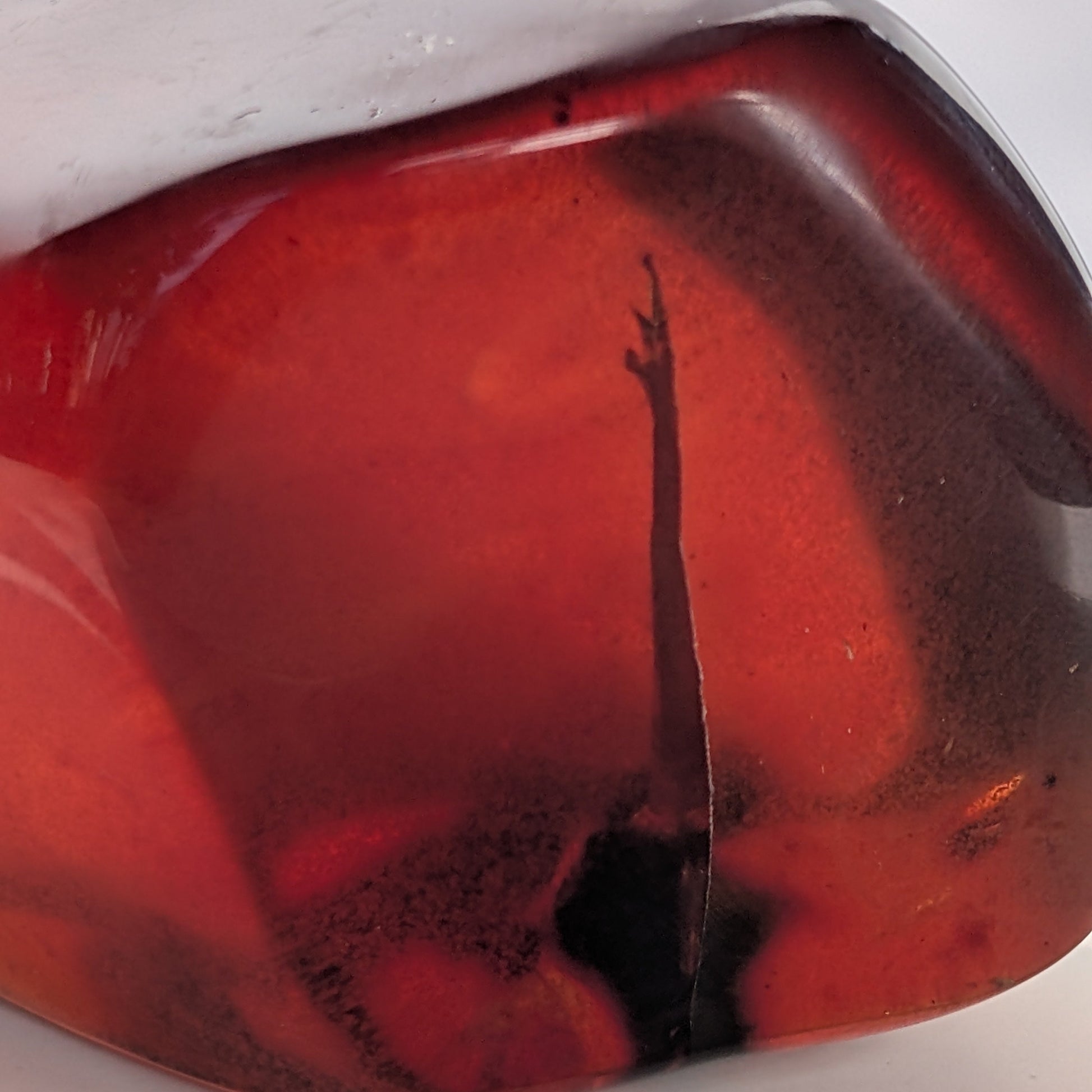 Kirschbernstein-Juwel "Rubin der Vorzeit" in tiefroter, transparenter Farbe.