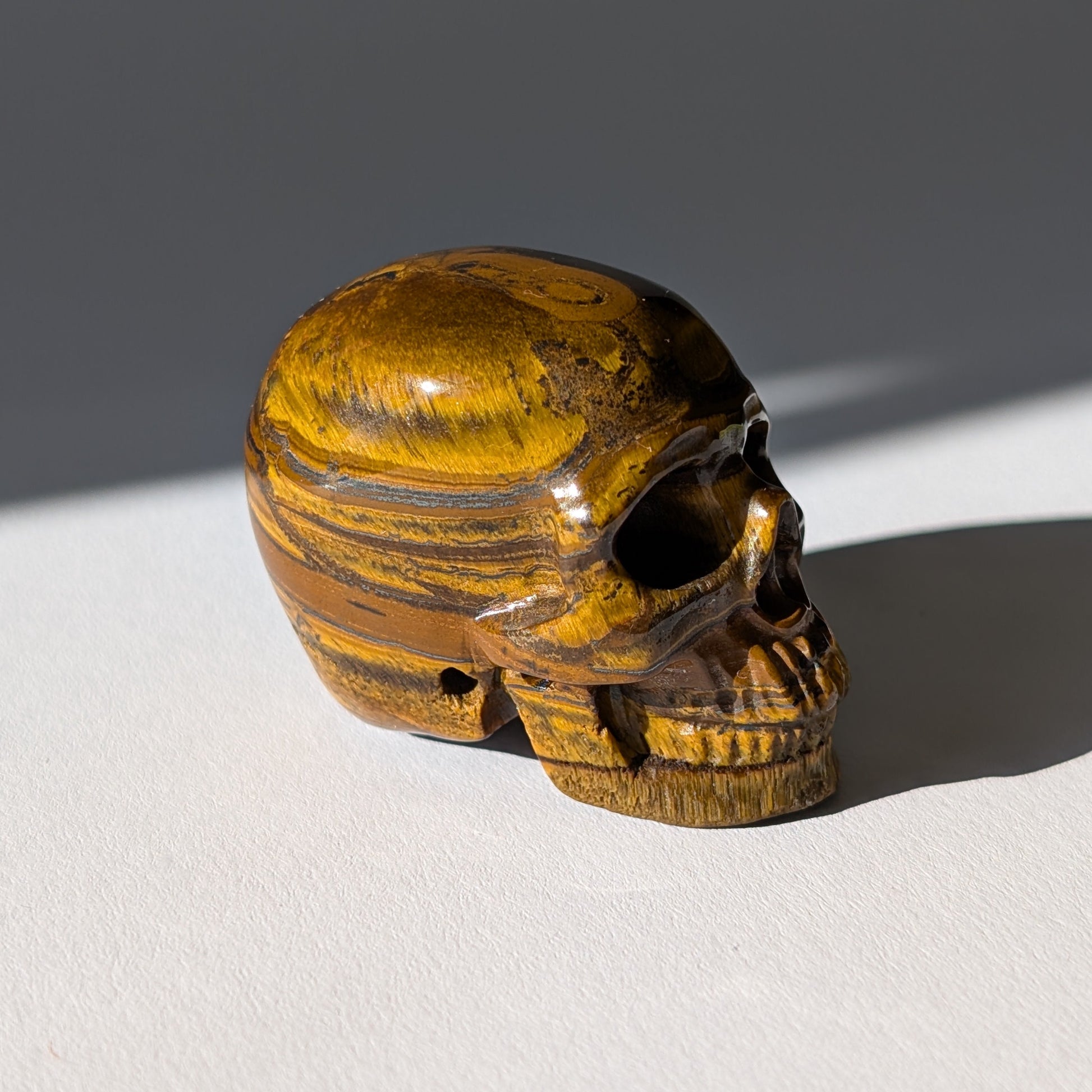 Kleiner Kristallschädel "Gonthar" (95g) aus gebändertem Tigereisen (Tigerauge, Hämatit, Jaspis).