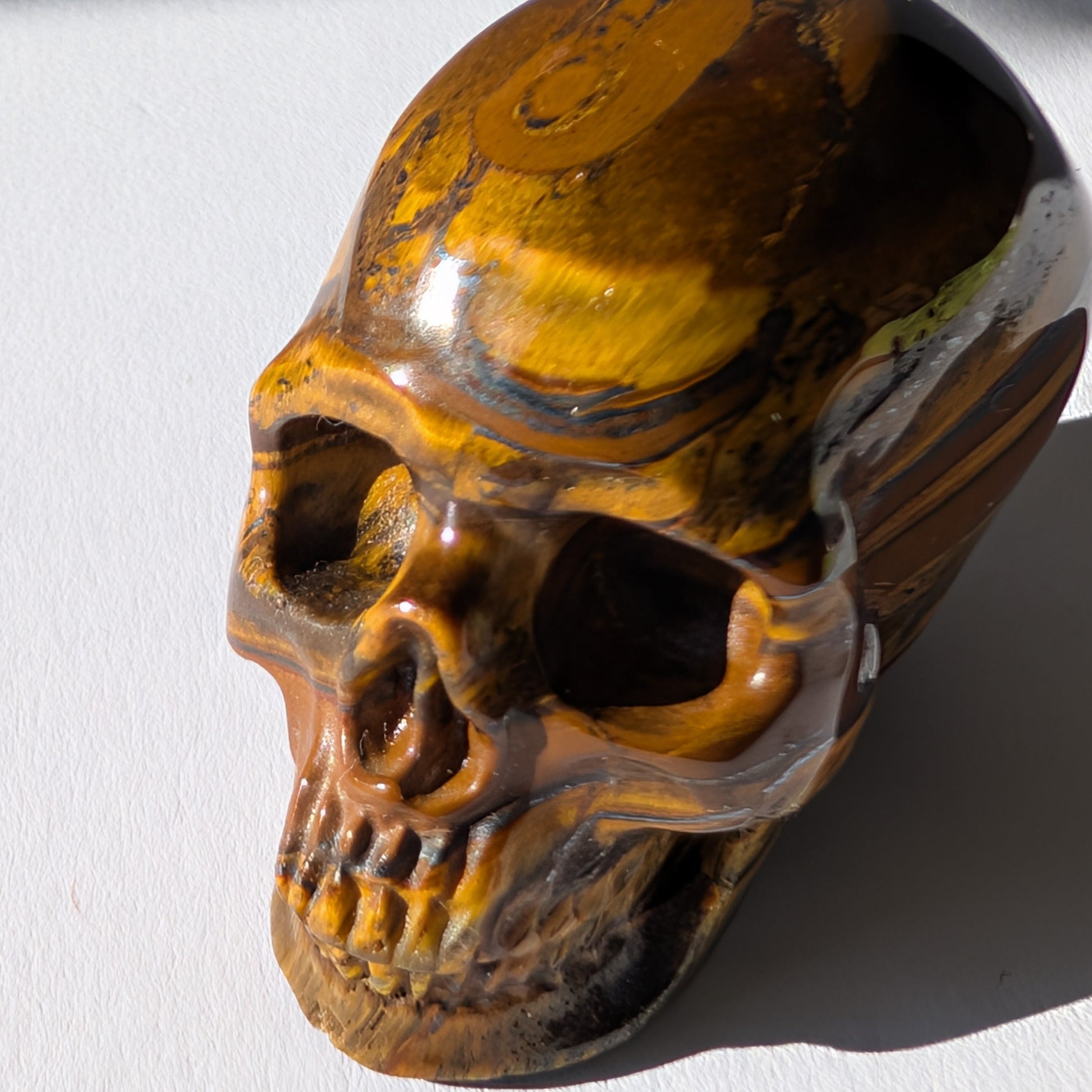 Kleiner Kristallschädel "Gonthar" (95g) aus gebändertem Tigereisen (Tigerauge, Hämatit, Jaspis).