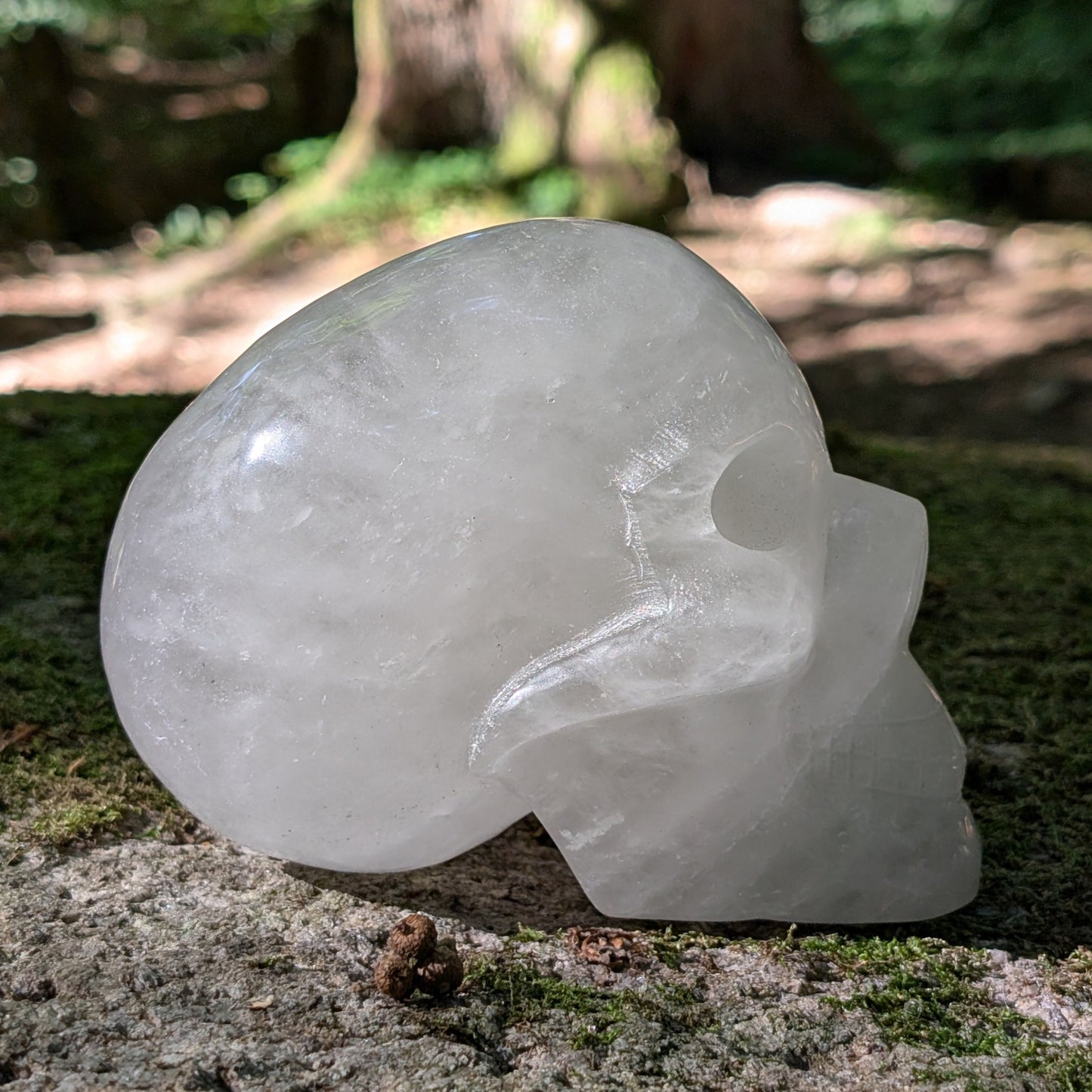 Kristallschädel "Ahnengeist" aus milchigem Quarz.