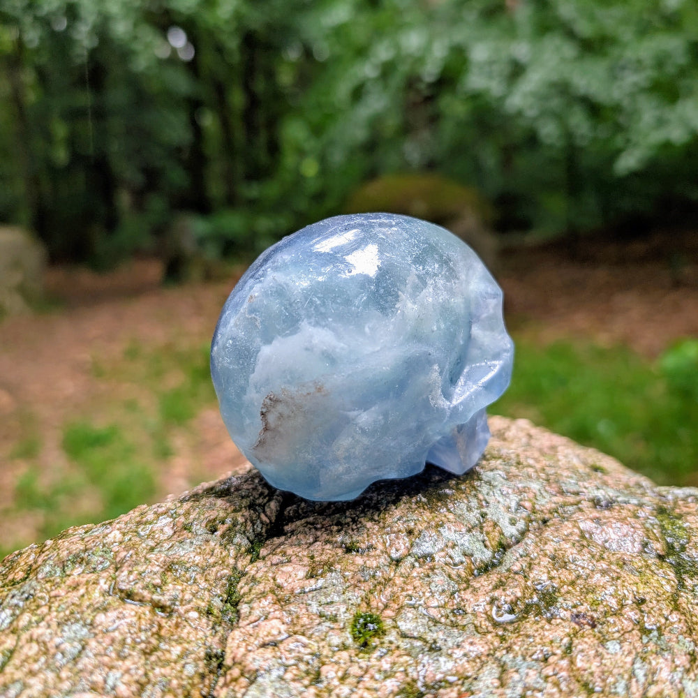 Kristallschädel "Atlantis" Fluorit | Klarheit & Ruhe