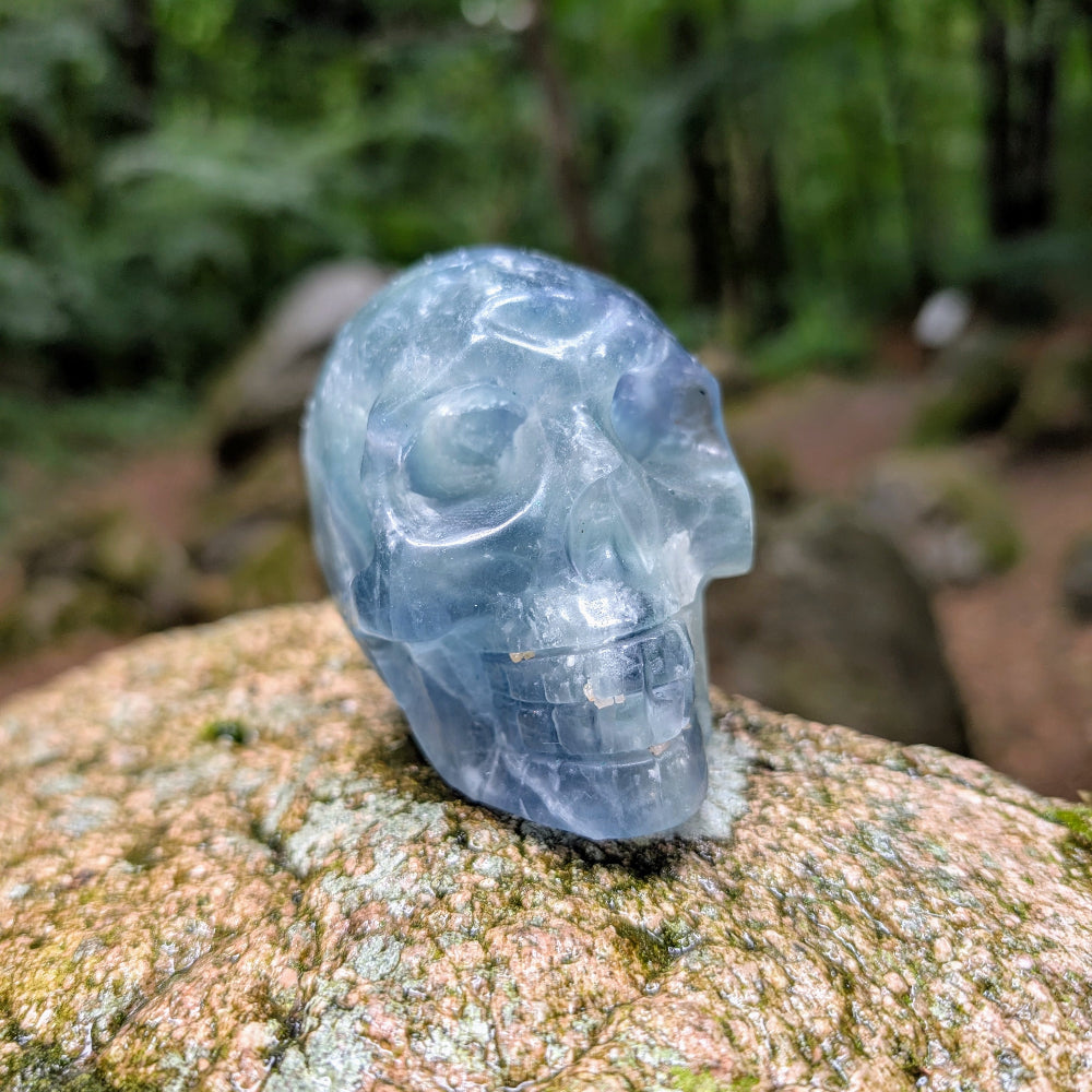 Kristallschädel "Atlantis" Fluorit | Klarheit & Ruhe