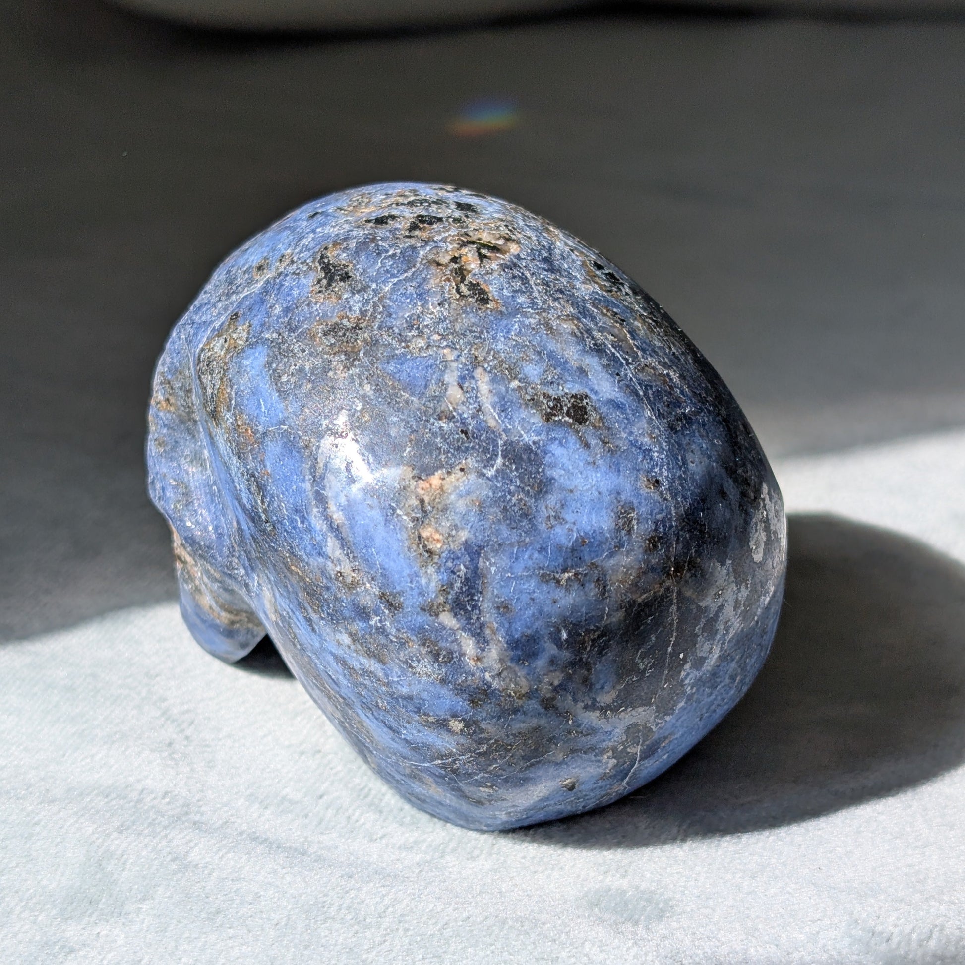 Kristallschädel "Der Magnetische Anker" aus Sodalith-Magnetit mit magnetischen Einschlüssen.