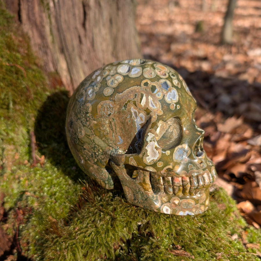 Kristallschädel "Der Wald Mann" – Wächter der Natur aus Regenwald Rhyolith 