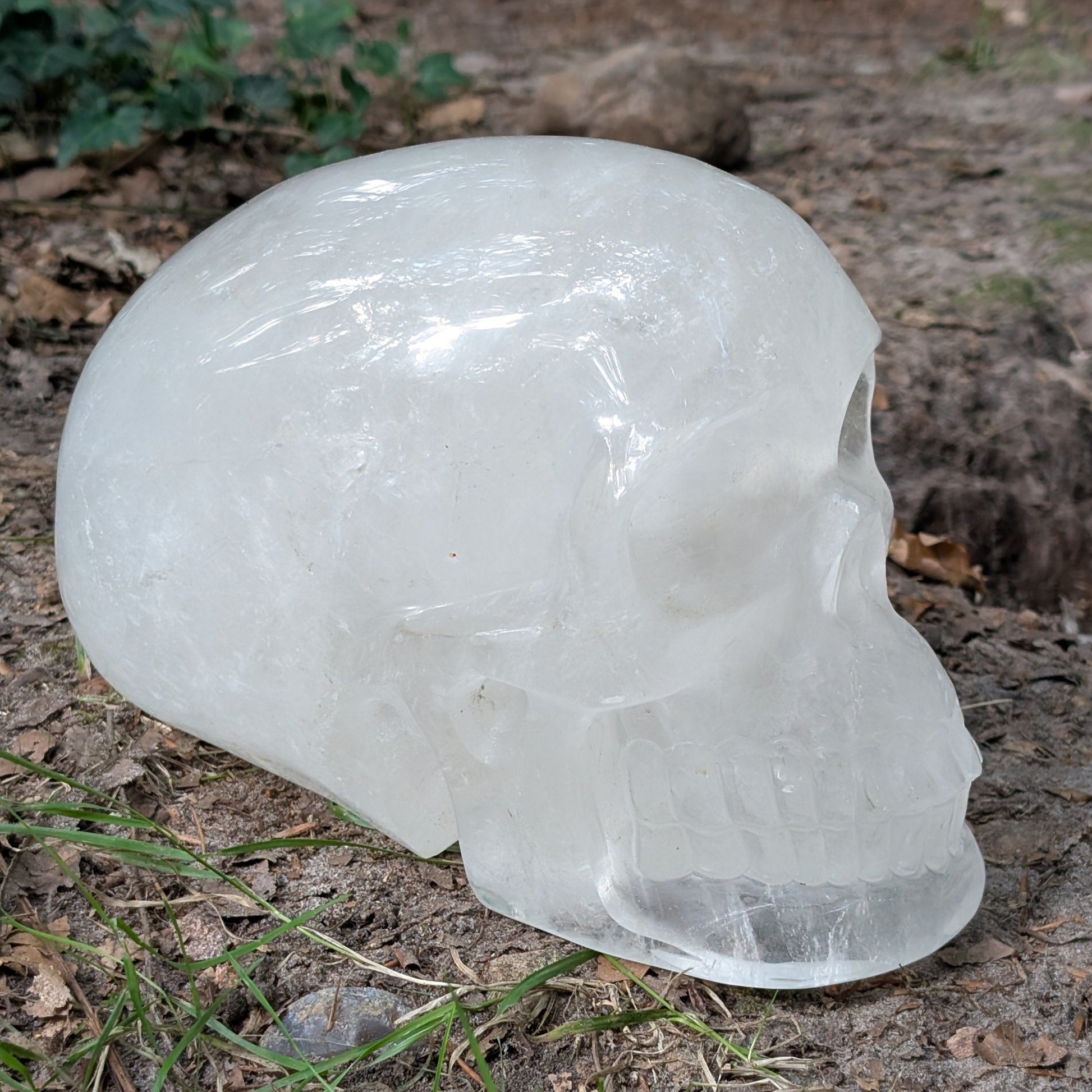 Kristallschädel "Dhanvantari" aus milchigem Quarz.