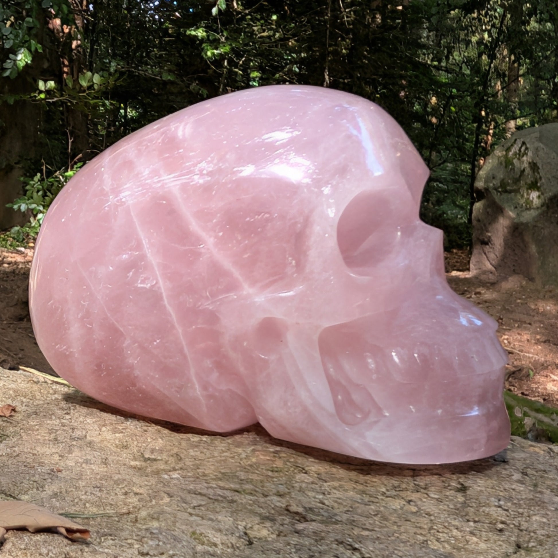 Kristallschädel "Elara" aus milchig-rosa Rosenquarz mit inneren Regenbogen-Einschlüssen.