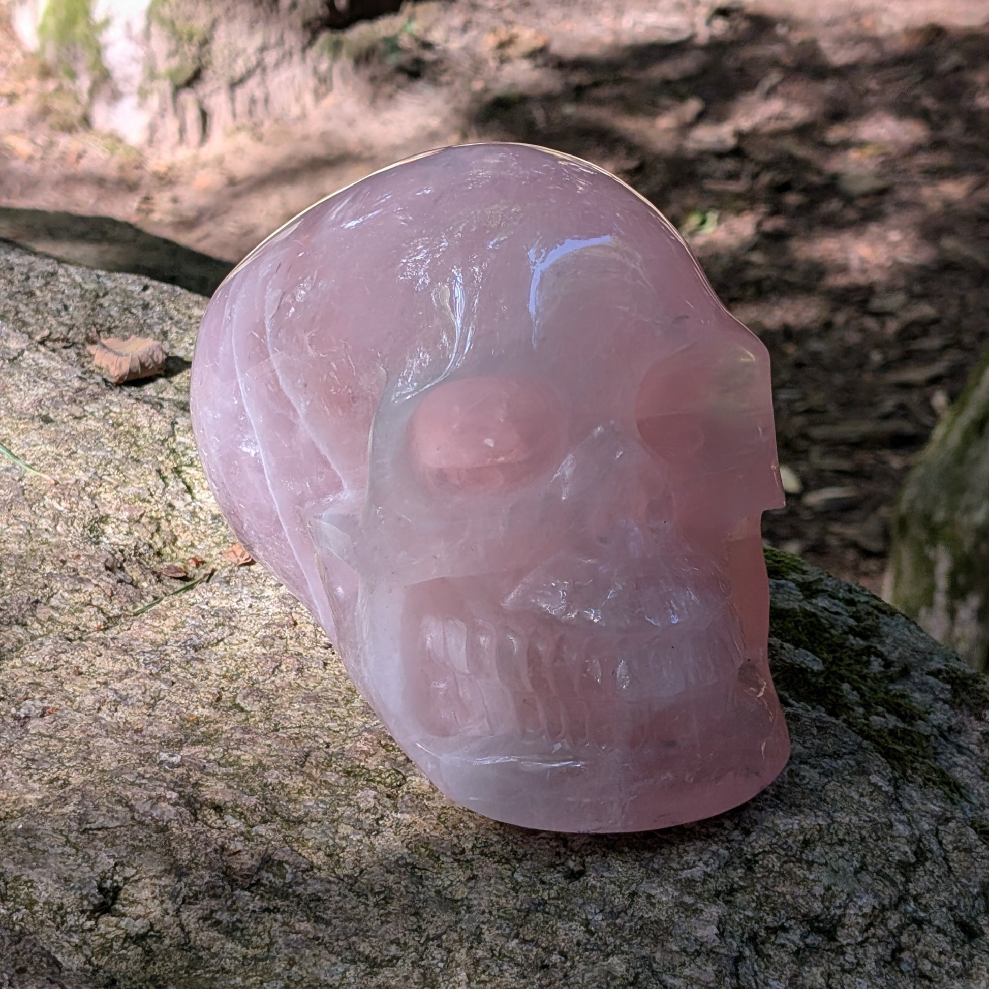 Kristallschädel "Elara" aus milchig-rosa Rosenquarz mit inneren Regenbogen-Einschlüssen.