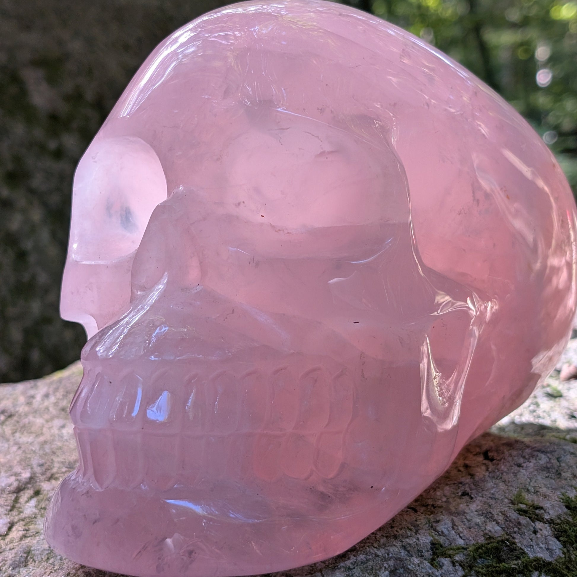 Kristallschädel "Elara" aus milchig-rosa Rosenquarz mit inneren Regenbogen-Einschlüssen.