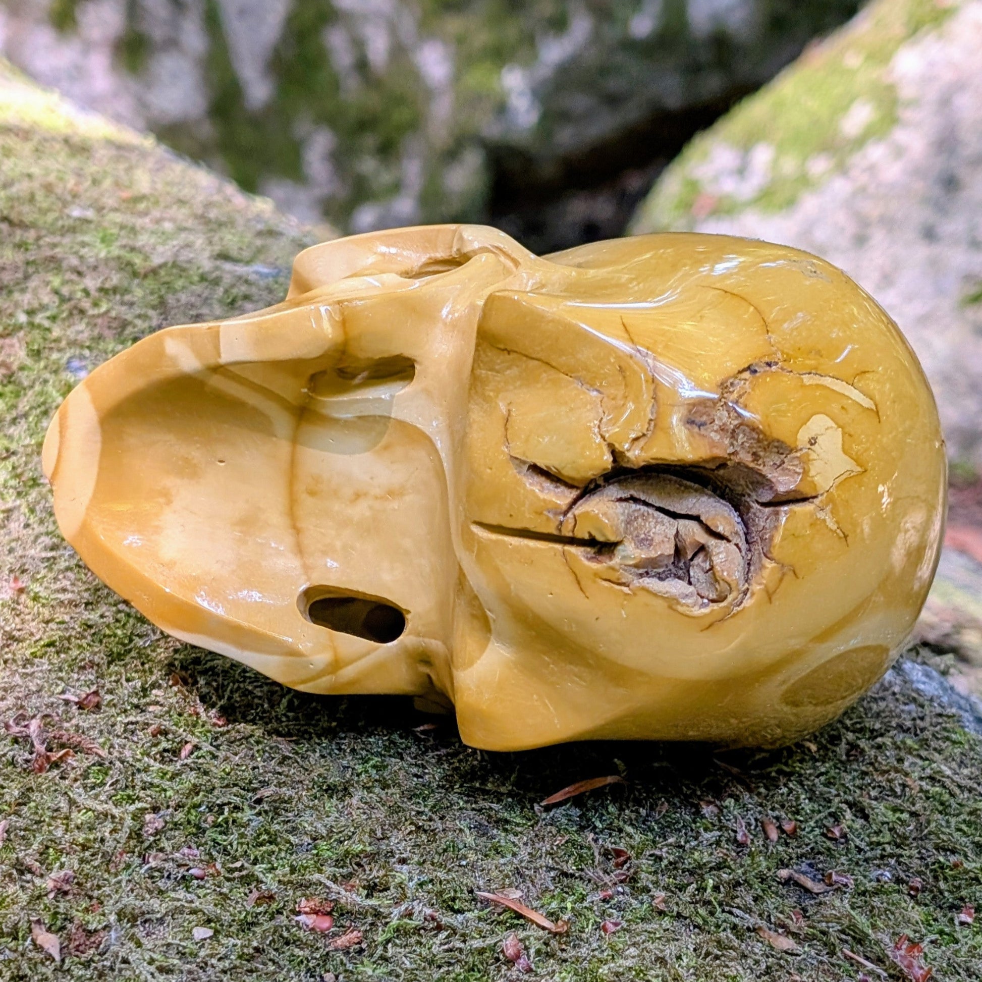 Kristallschädel "Erdenwanderer" aus Buntem Mookait mit erdigen Farben.