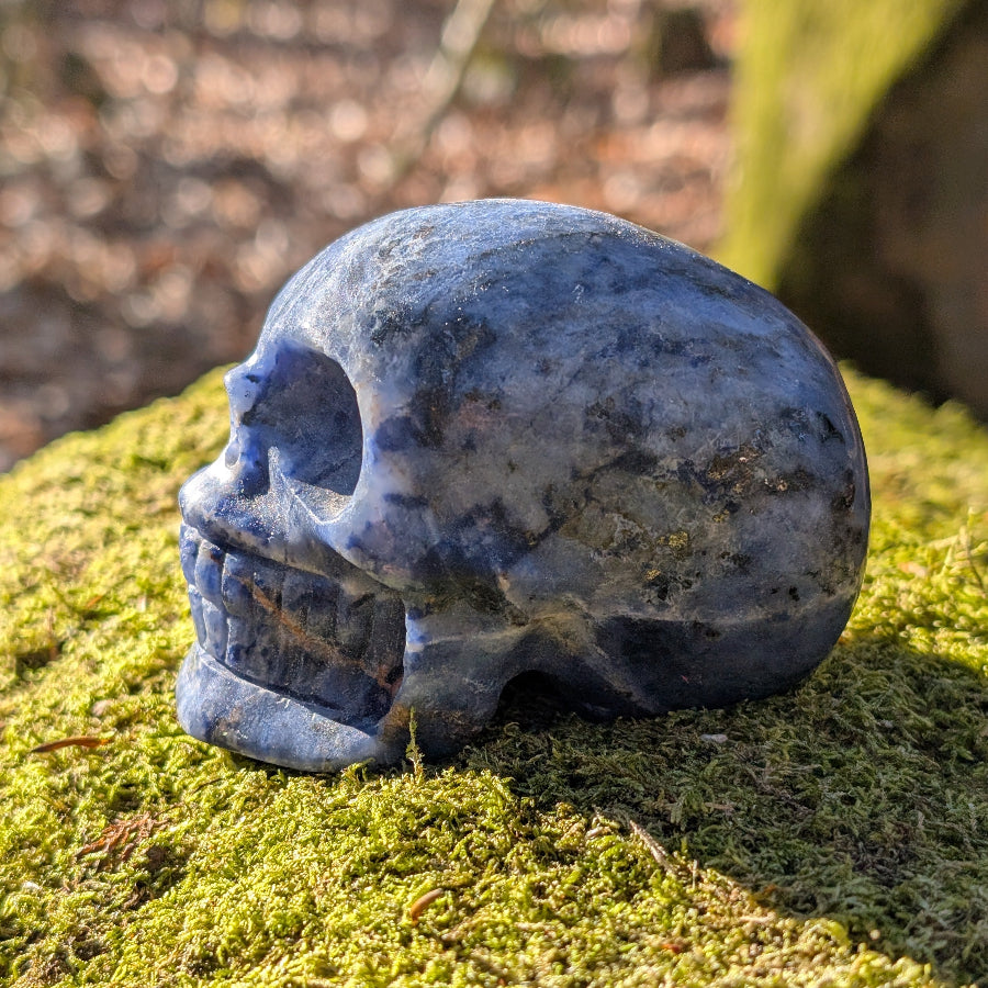 Kristallschädel "Eugen" aus Sodalith-Natronstein | Spirituelles Kraftobjekt