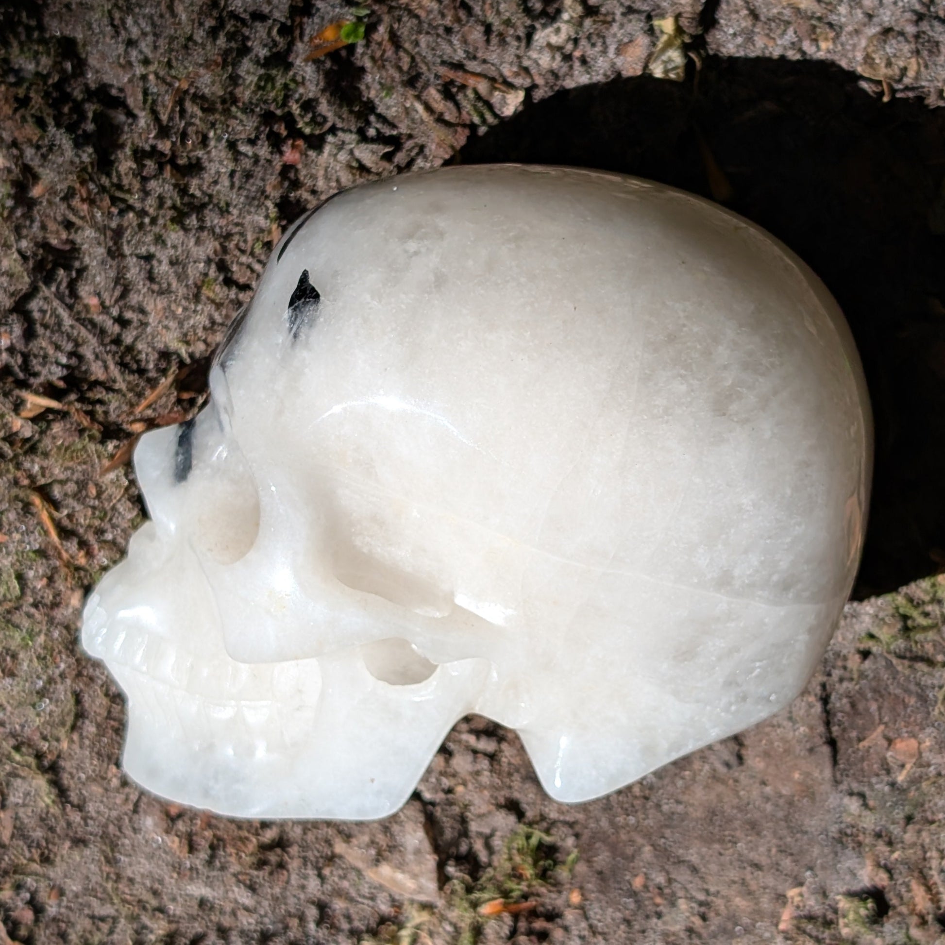 Kristallschädel "Felsengeist" aus Turmalin-Quarz mit schwarzen Nadel-Einschlüssen.