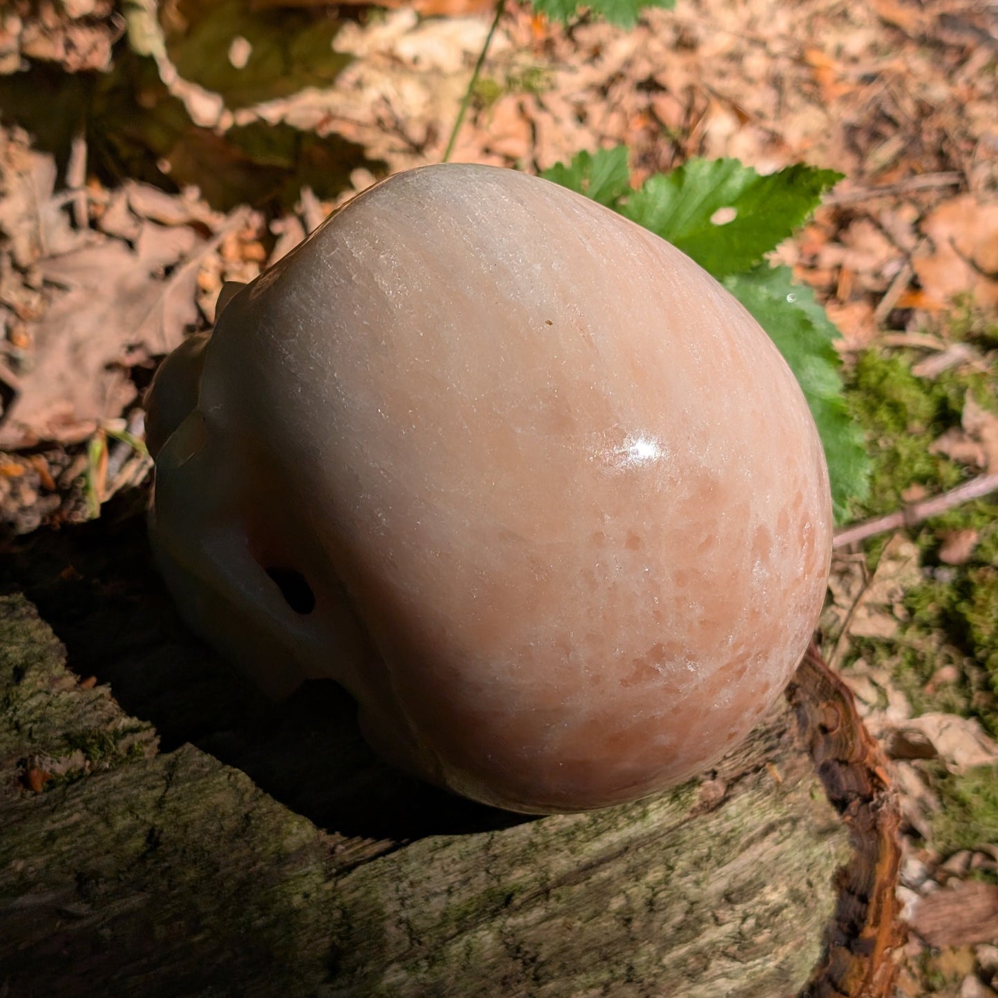 Kristallschädel "Flammenhüter" aus rotem Selenit.