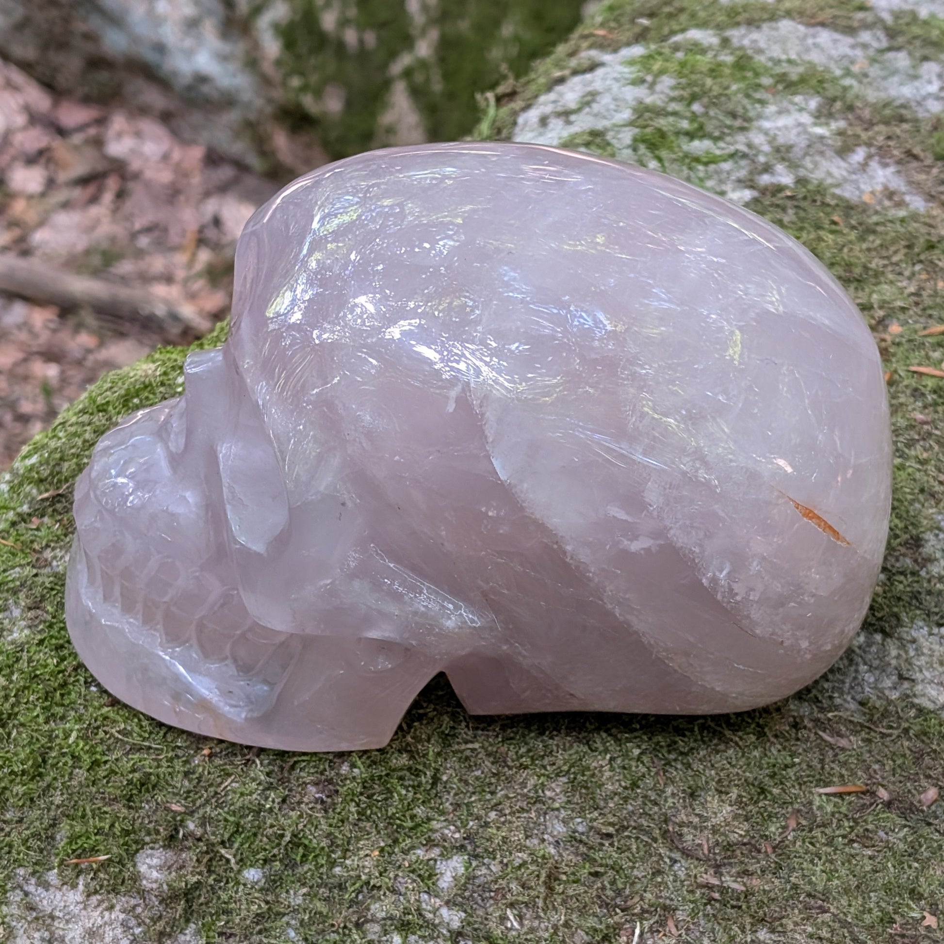 Kristallschädel "Herzensgigant" aus milchig-rosa Rosenquarz.