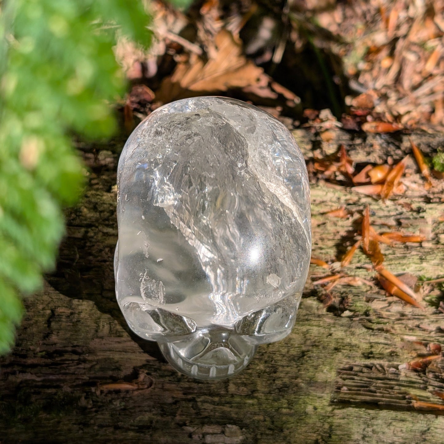 Kristallschädel "Klarheitsbringer" aus klarem Bergkristall (310g).