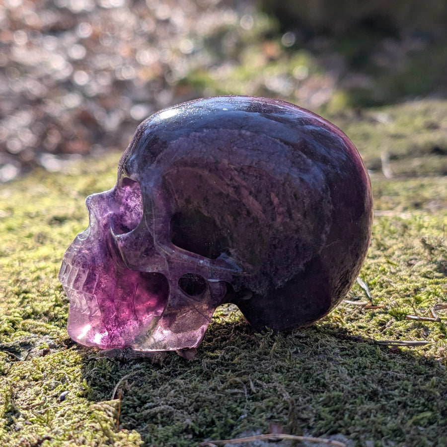 Kristallschädel "Sisi" – Die wunderschöne Elfe aus Fluorit (503g) | Licht & Liebe