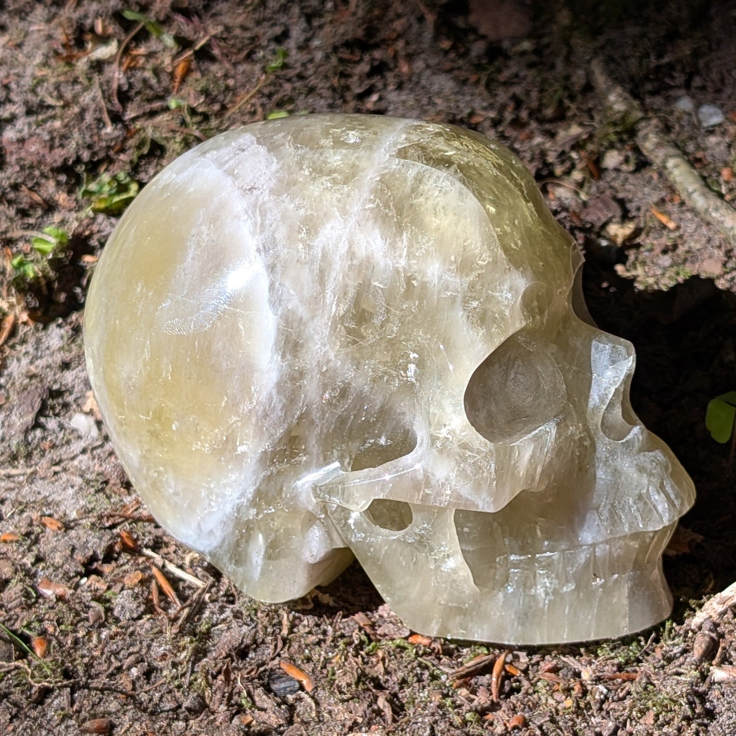 Kristallschädel "Sonnenmanifest" aus klarem, goldgelbem Citrin.