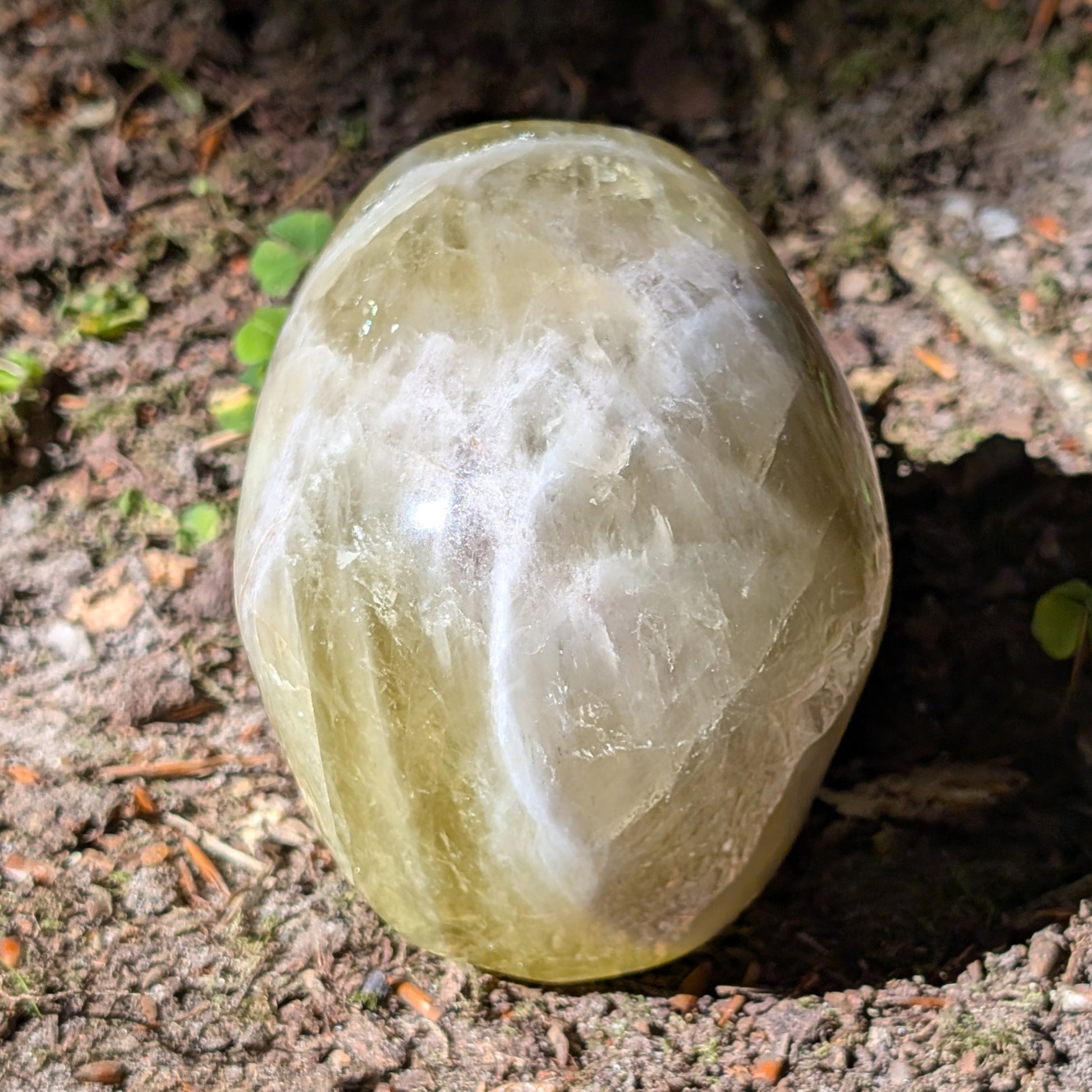 Kristallschädel "Sonnenmanifest" aus klarem, goldgelbem Citrin.