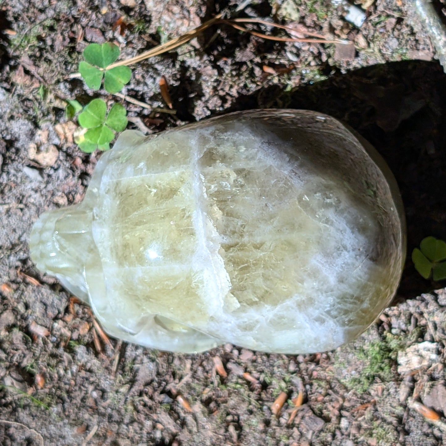 Kristallschädel "Sonnenmanifest" aus klarem, goldgelbem Citrin.