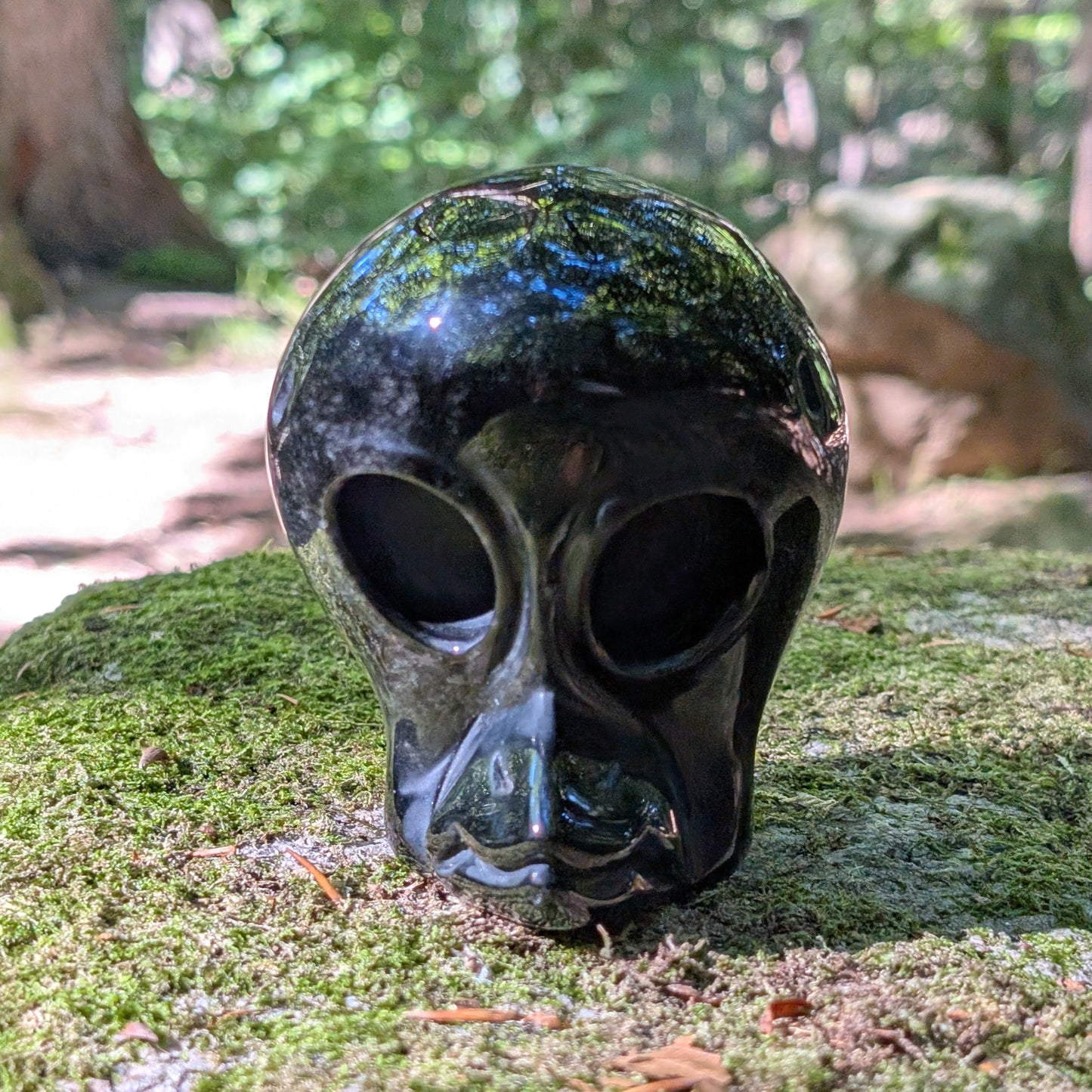 Kristallschädel "Sternenbote" aus tiefschwarzem Obsidian in Form eines Alien-Vogels.