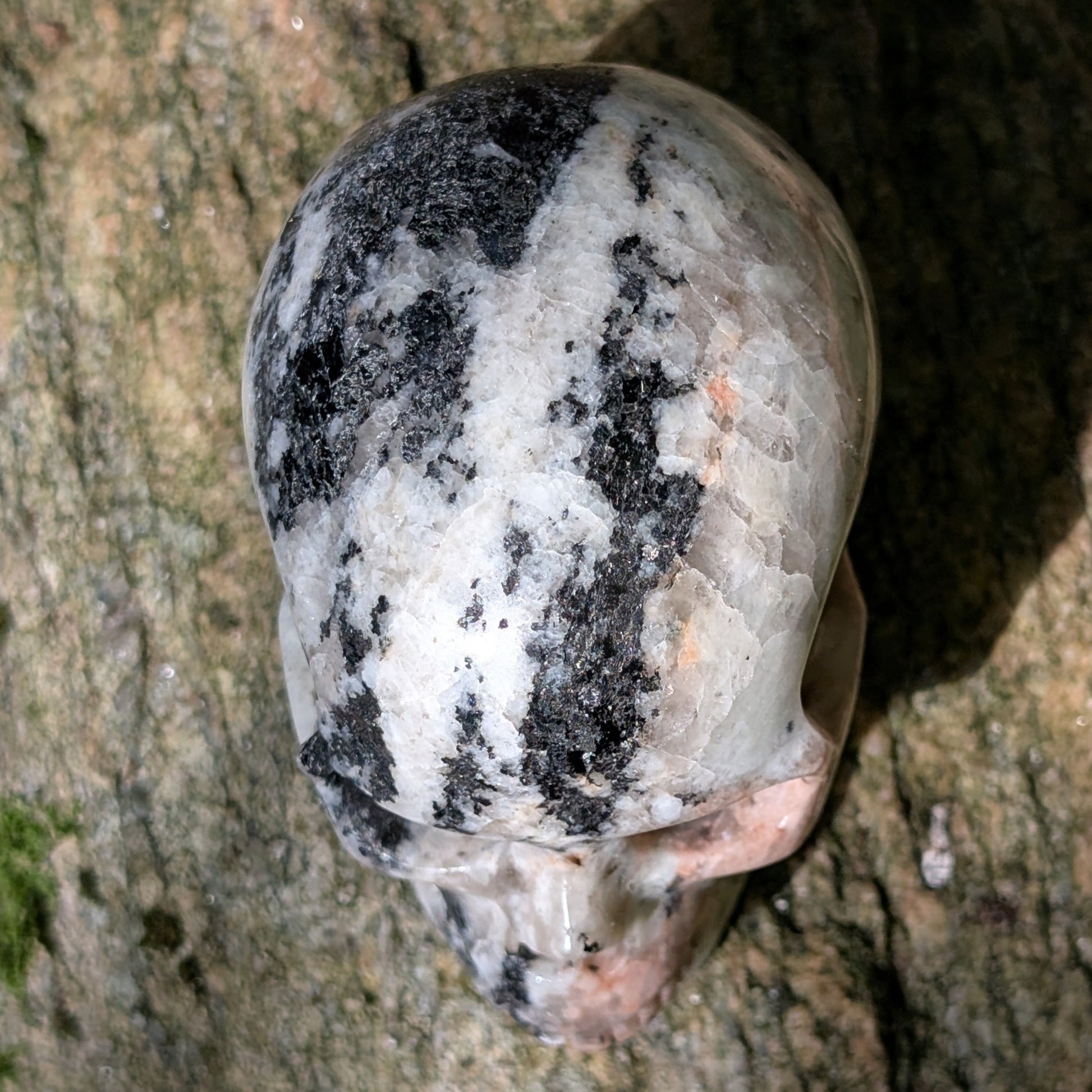 Kristallschädel "Sternenstaub" aus Granit mit schwarzer, weißer und rosafarbener Maserung.