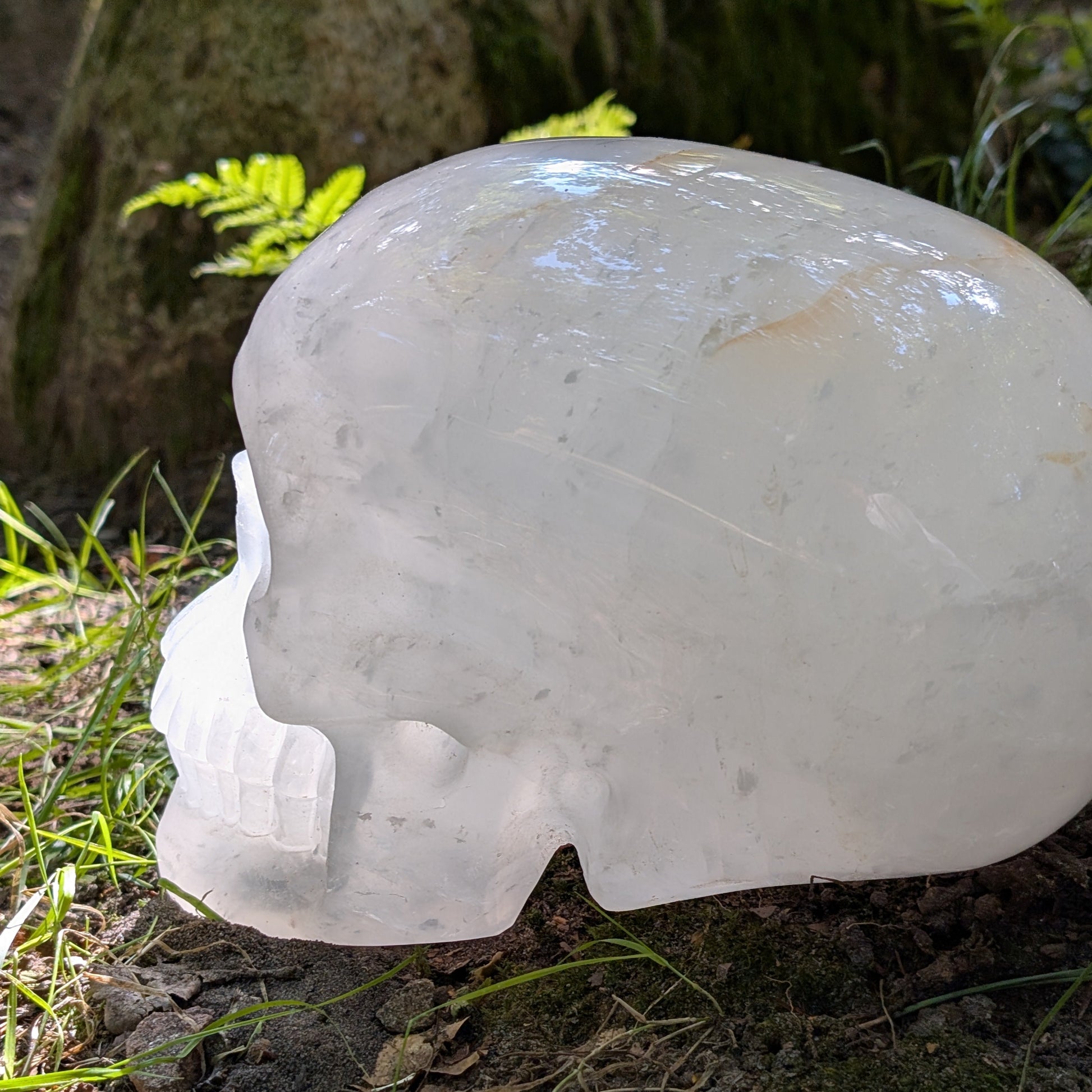 Kristallschädel "Titan der Klarheit" aus milchig-weißem Bergkristall.
