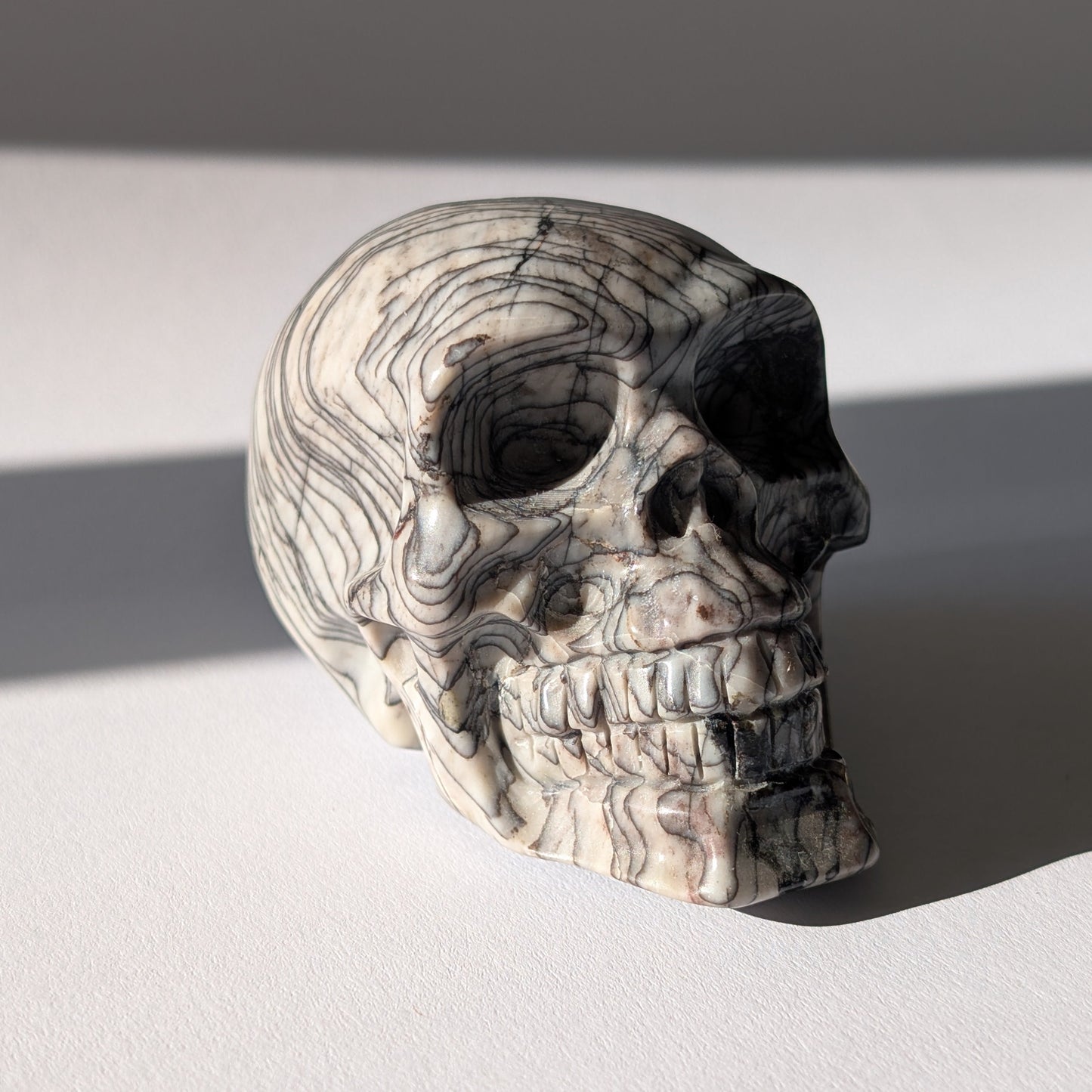 Kristallschädel "Townguard" (360g) aus Kalkstein mit markanter schwarz-weißer Zebra-Musterung.