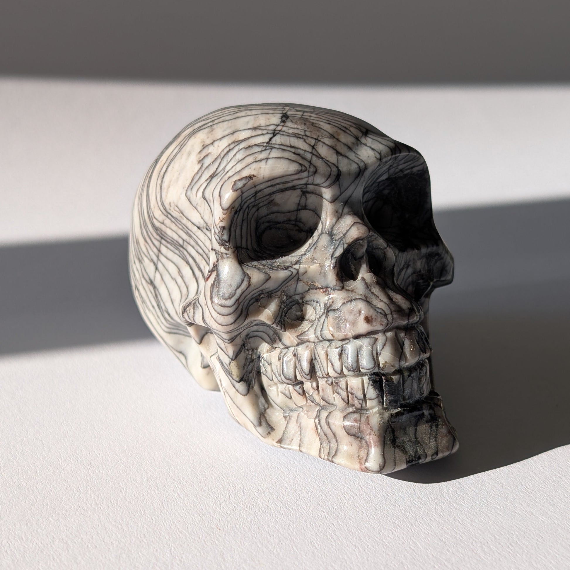 Kristallschädel "Townguard" (360g) aus Kalkstein mit markanter schwarz-weißer Zebra-Musterung.