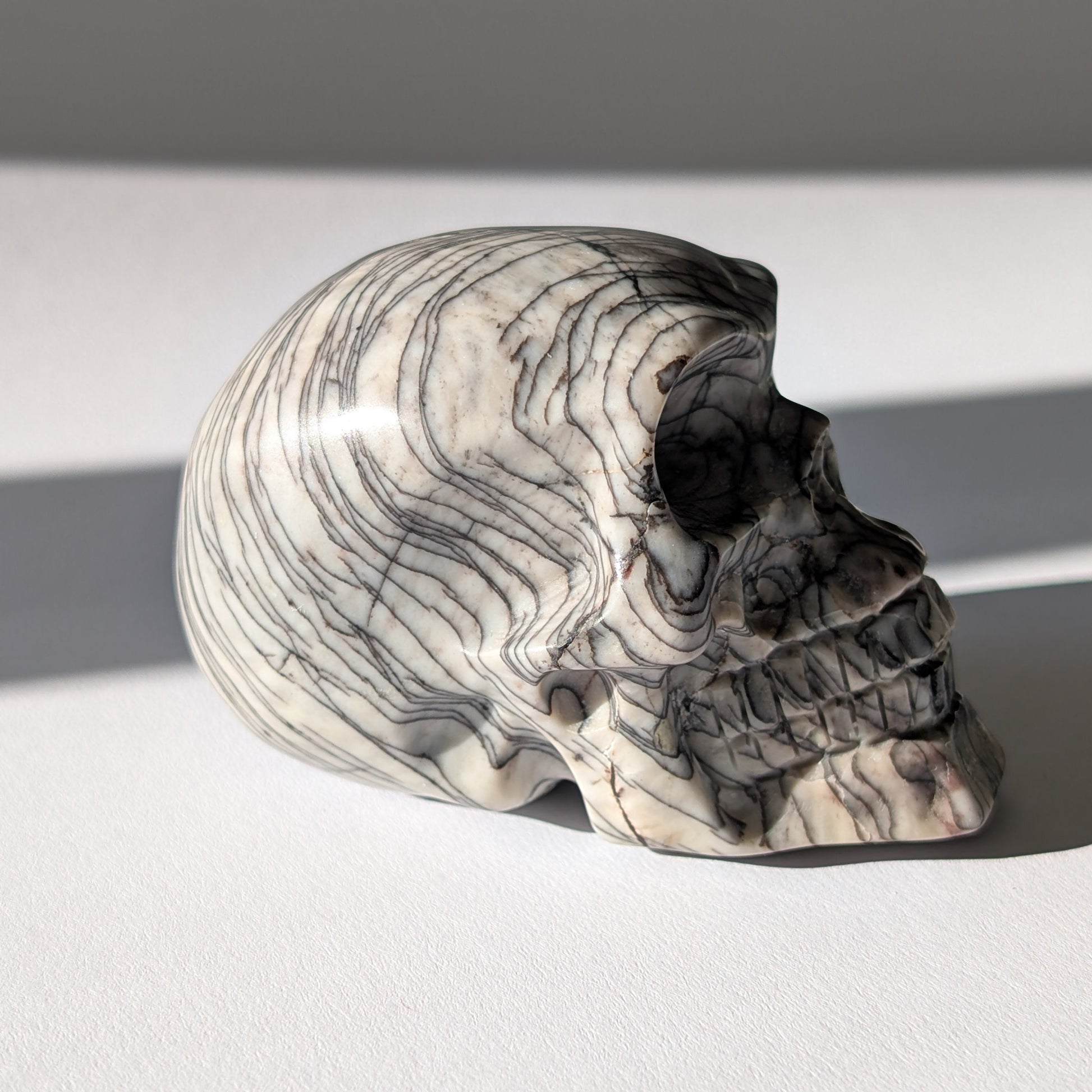 Kristallschädel "Townguard" (360g) aus Kalkstein mit markanter schwarz-weißer Zebra-Musterung.