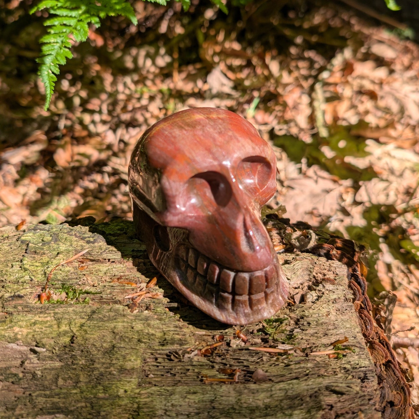 Kristallschädel "Waldesgeist" aus verkieseltem Holz, der einem Affenschädel ähnelt.