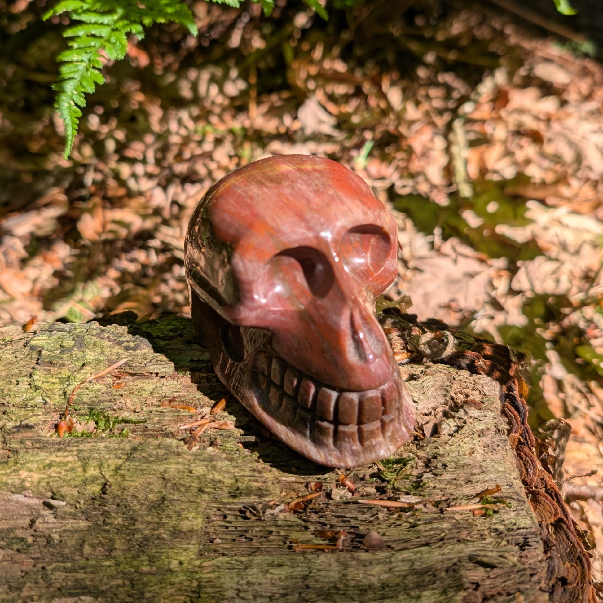 Kristallschädel "Waldesgeist" aus verkieseltem Holz, der einem Affenschädel ähnelt.