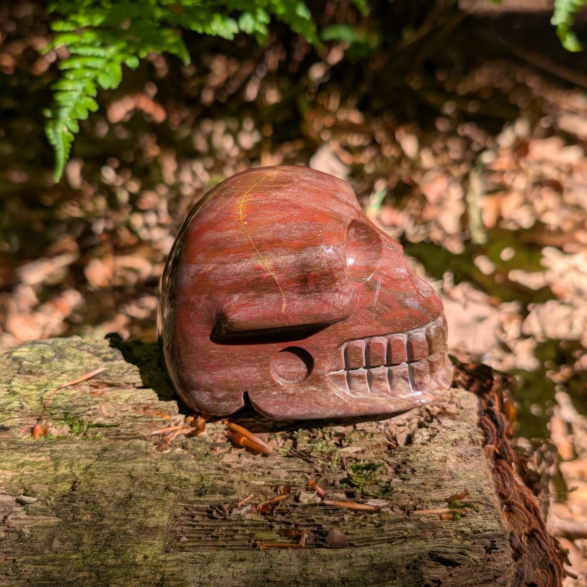 Kristallschädel "Waldesgeist" aus verkieseltem Holz, der einem Affenschädel ähnelt.