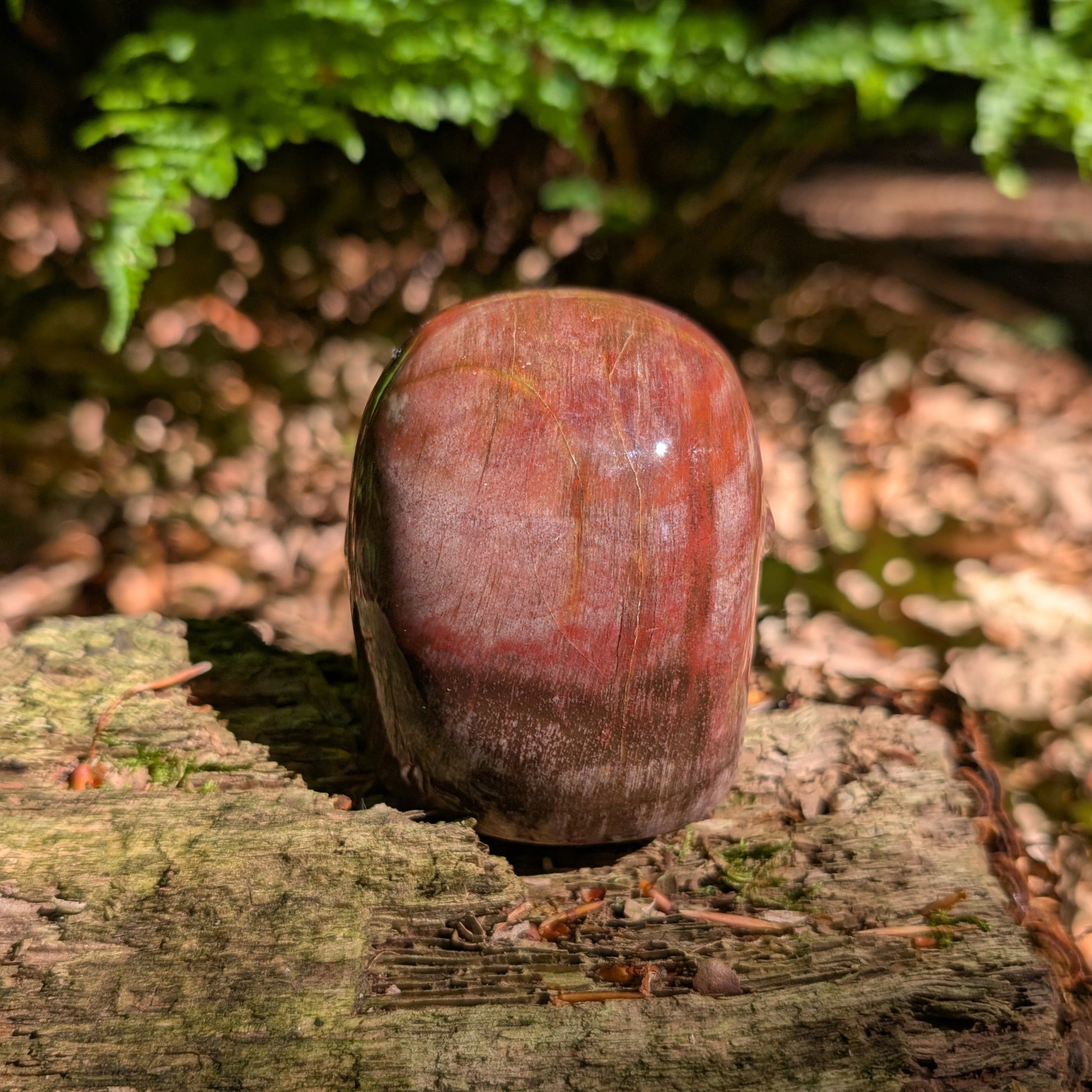 Kristallschädel "Waldesgeist" aus verkieseltem Holz, der einem Affenschädel ähnelt.