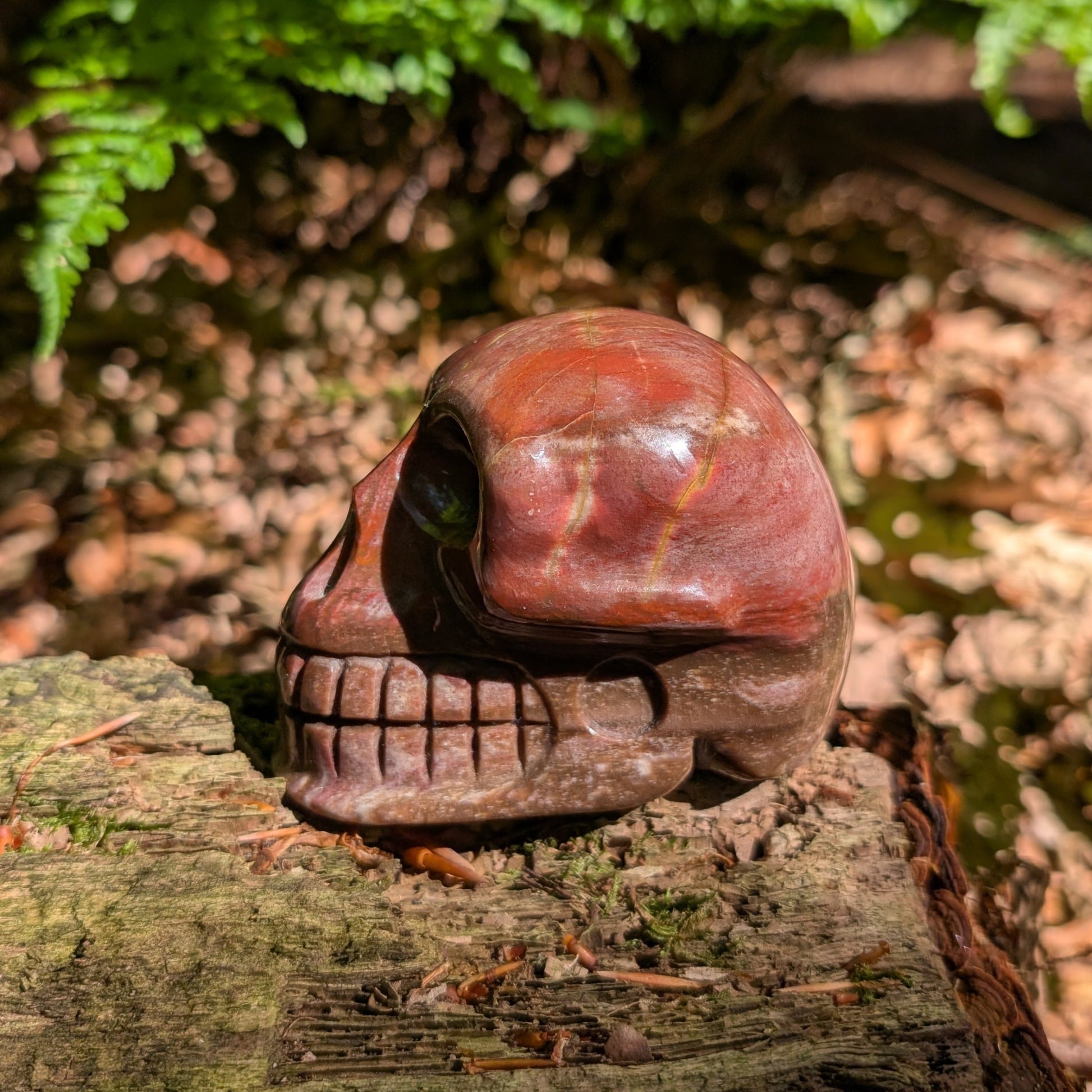 Kristallschädel "Waldesgeist" aus verkieseltem Holz, der einem Affenschädel ähnelt.