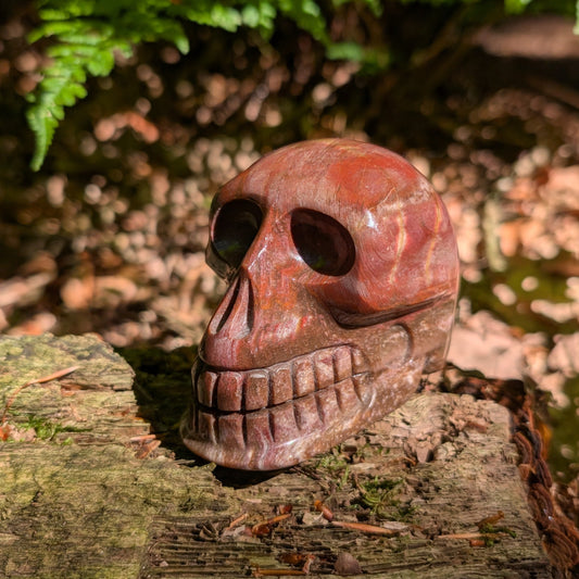 Kristallschädel "Waldesgeist" aus verkieseltem Holz, der einem Affenschädel ähnelt.