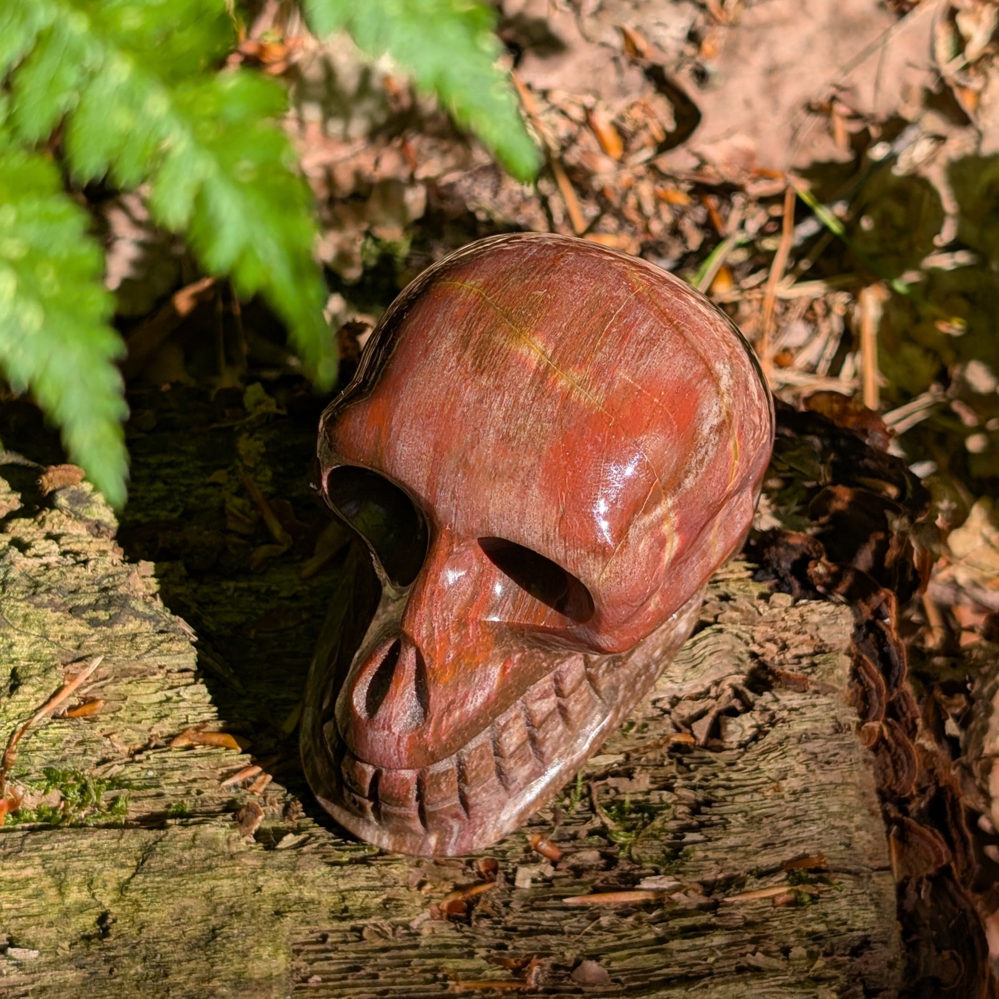Kristallschädel "Waldesgeist" aus verkieseltem Holz, der einem Affenschädel ähnelt.