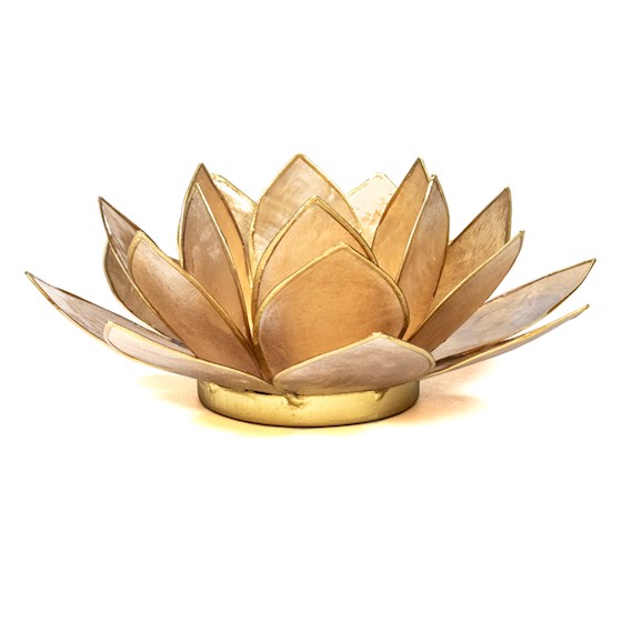 Lotus Teelichthalter Capiz aus Capiz-Muschel in Gold mit Goldrand
