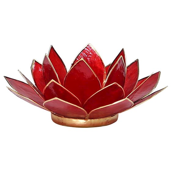Lotus Teelichthalter Capiz aus Capiz-Muschel in Rubinrot mit Goldrand