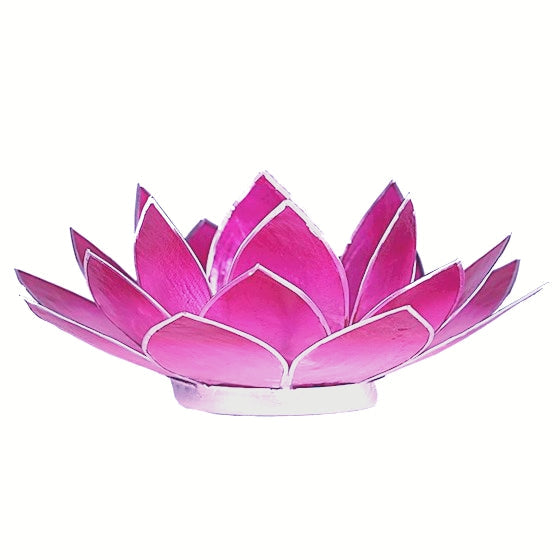 Lotus Teelichthalter Capiz aus Capiz-Muschel in Pink-Weiß mit Silberrand