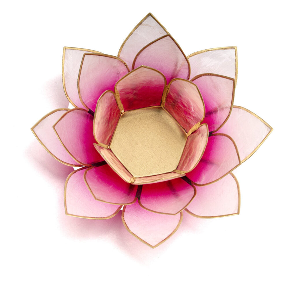 Lotus Teelichthalter Capiz in Pink-Weiß, weitere Ansicht