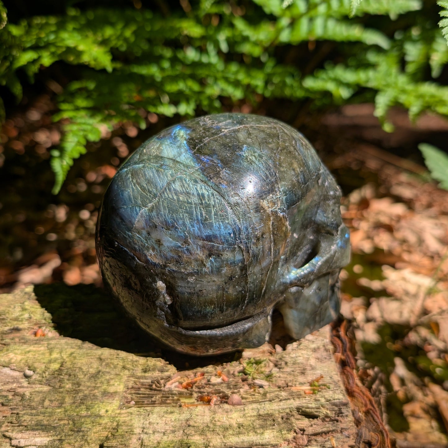 Labradorit Kristallschädel "Kosmischer Wächter" mit schillernden Farben.