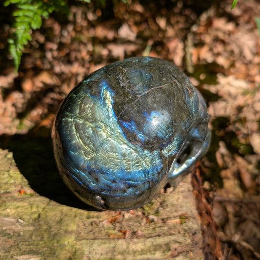 Labradorit Kristallschädel "Kosmischer Wächter" mit schillernden Farben.