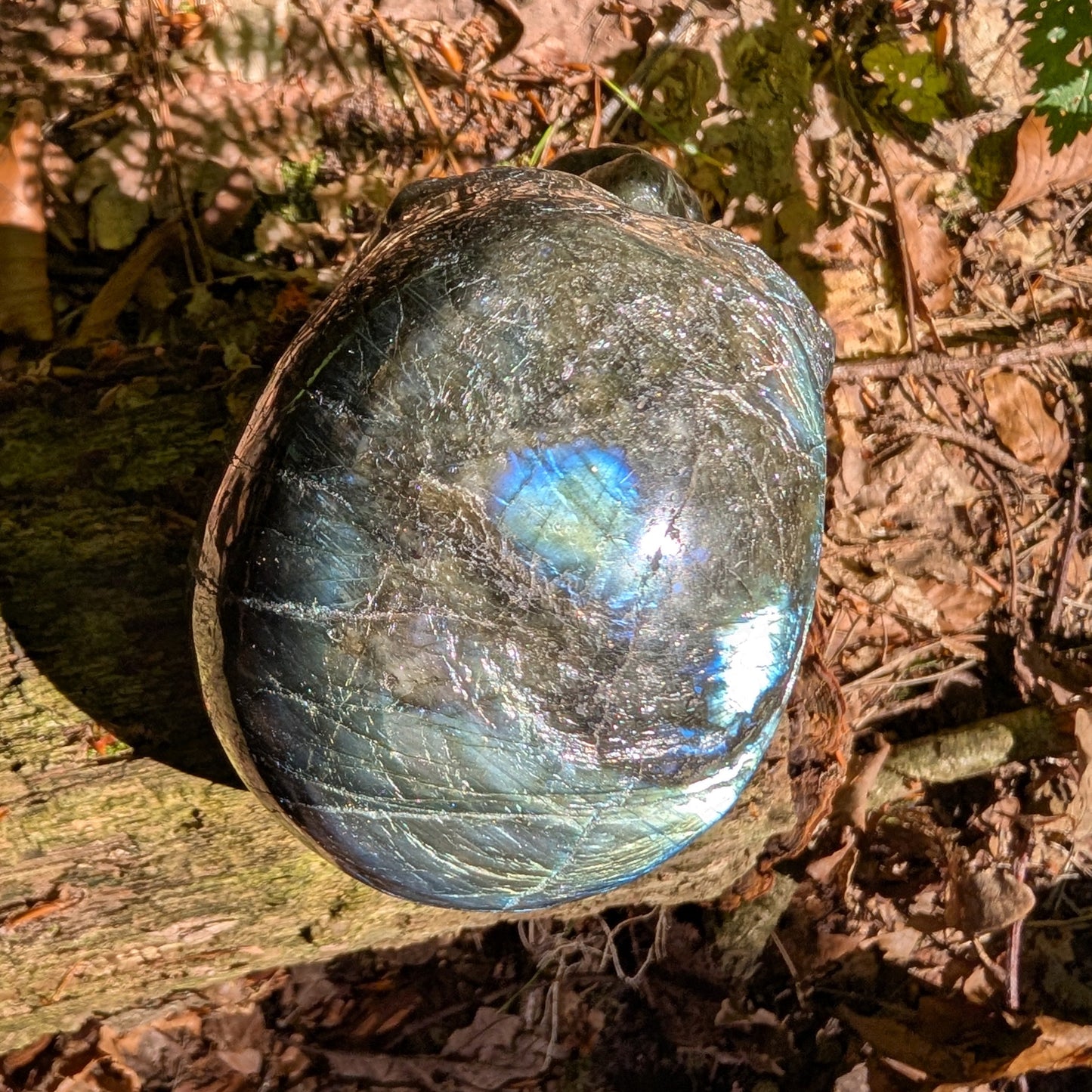Labradorit Kristallschädel "Kosmischer Wächter" mit schillernden Farben.